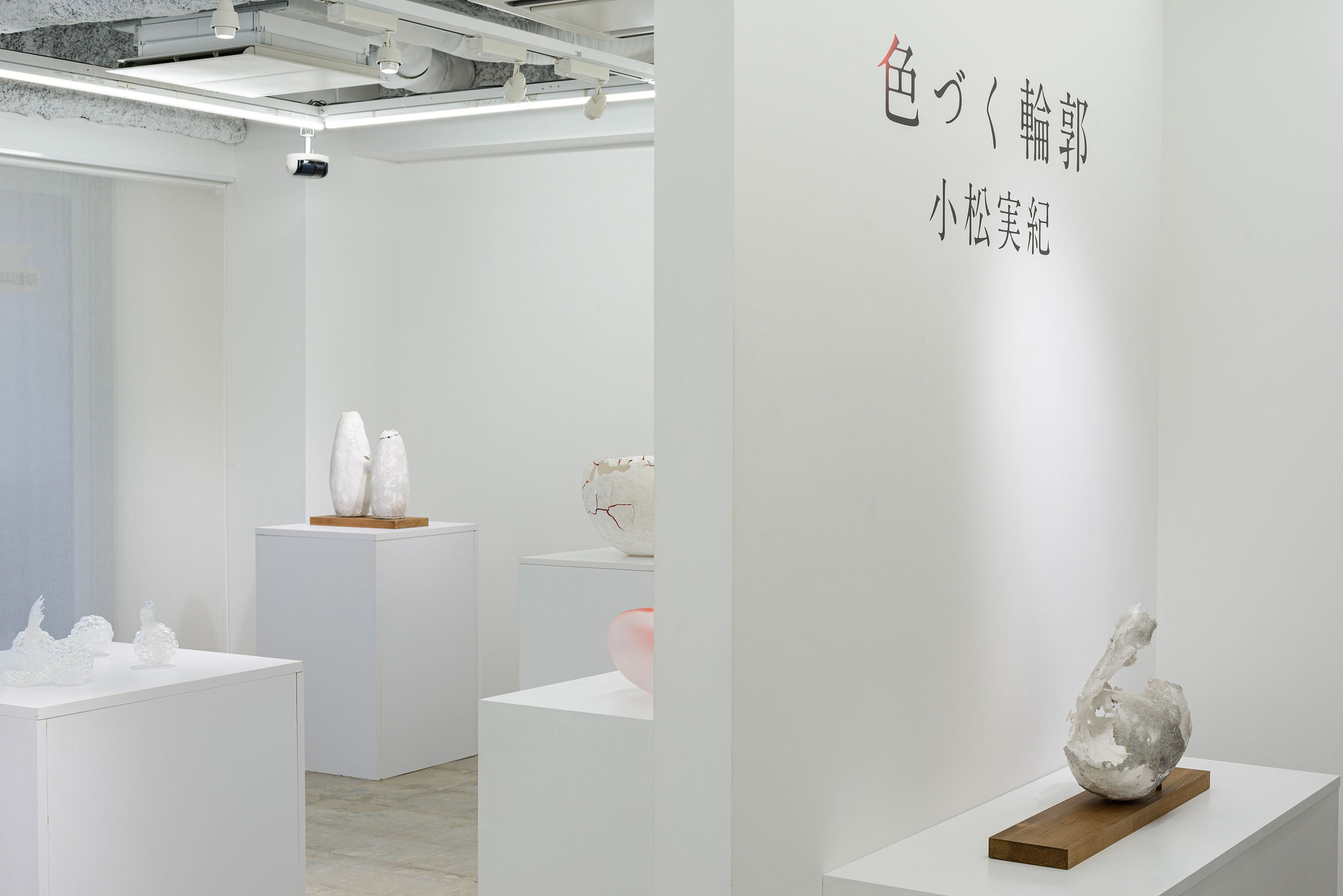 小松 実紀：色づく輪郭