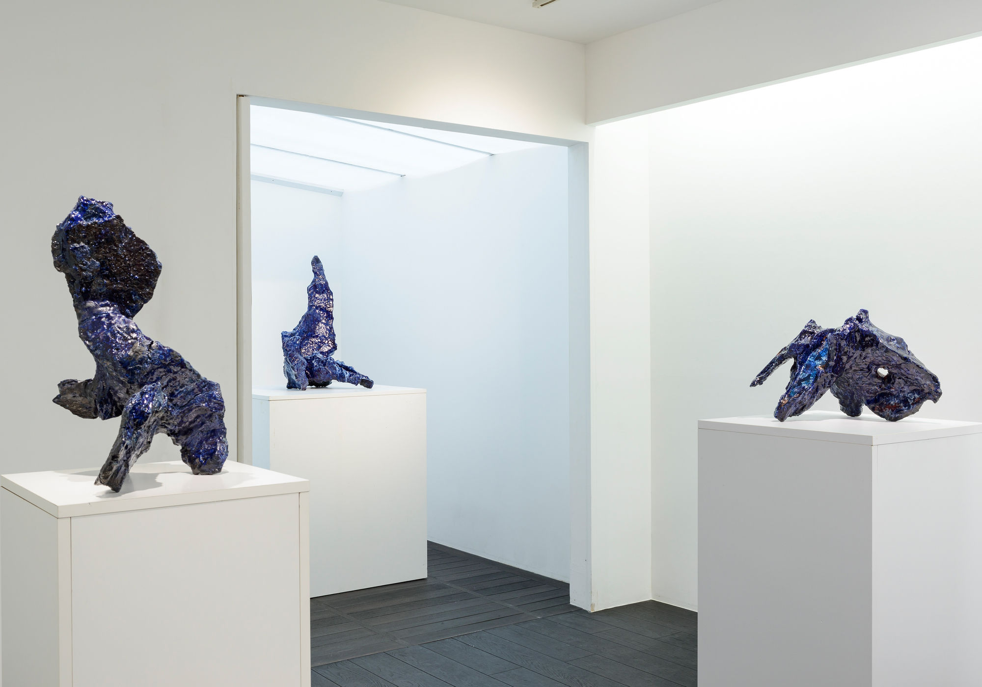 小 島修 : 歪形 (いびつなり)