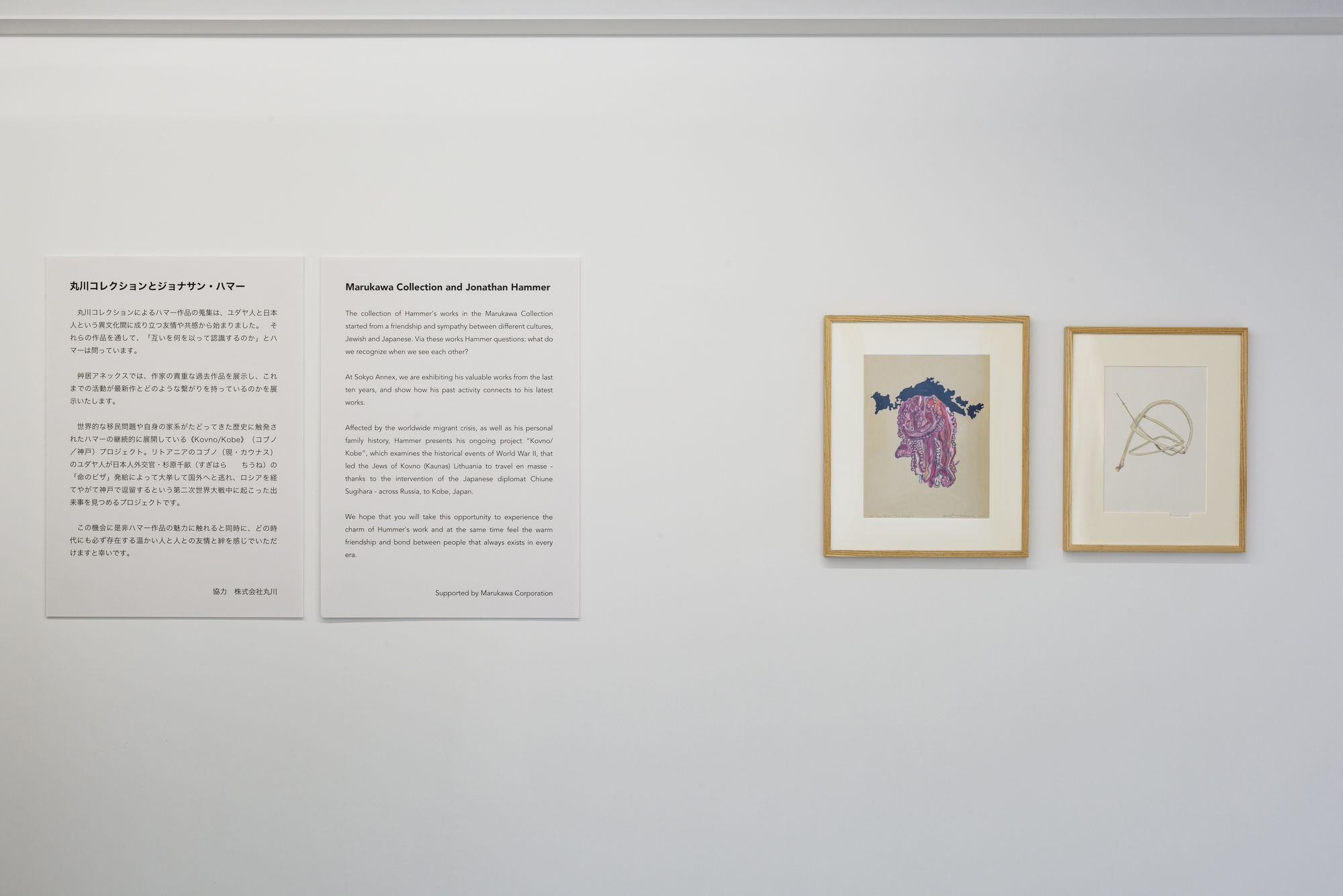 丸川コレクション展 | ジョナサン・ハマー：巻物と触手