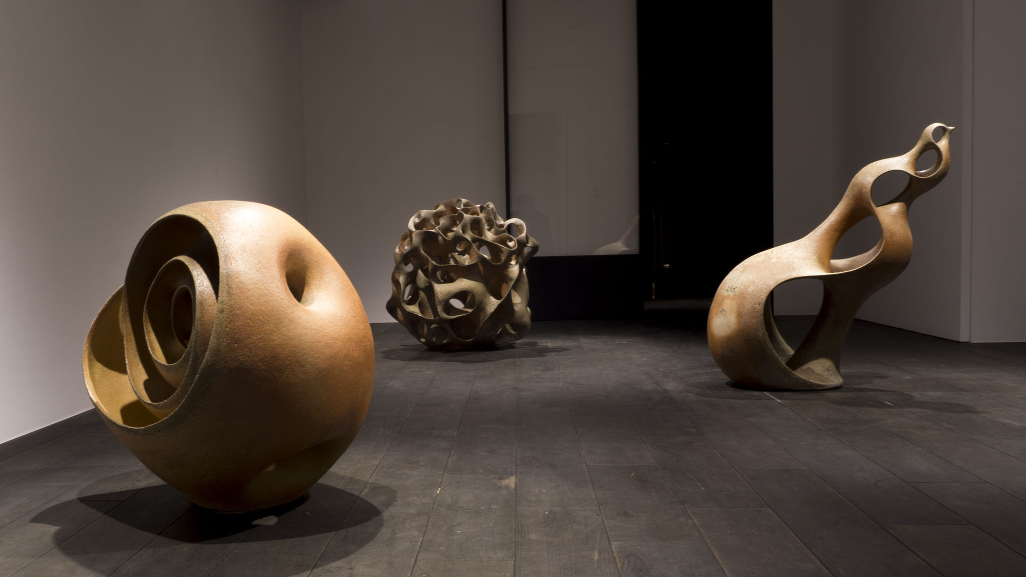 黒川 徹：野生の数学