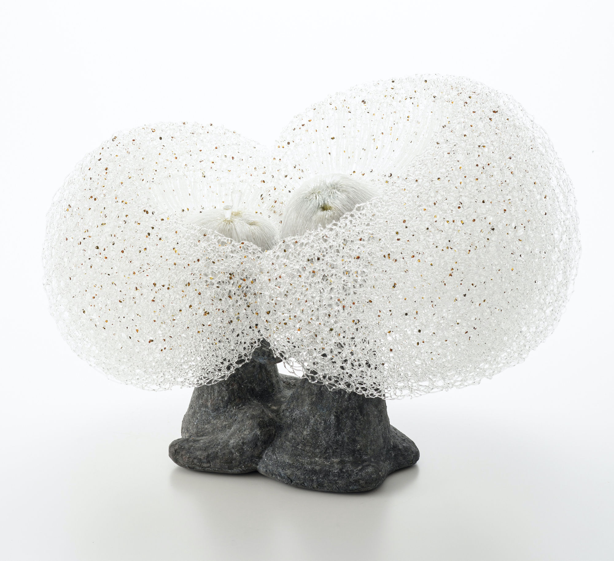 菅野 有紀子, In plain sight, 2022