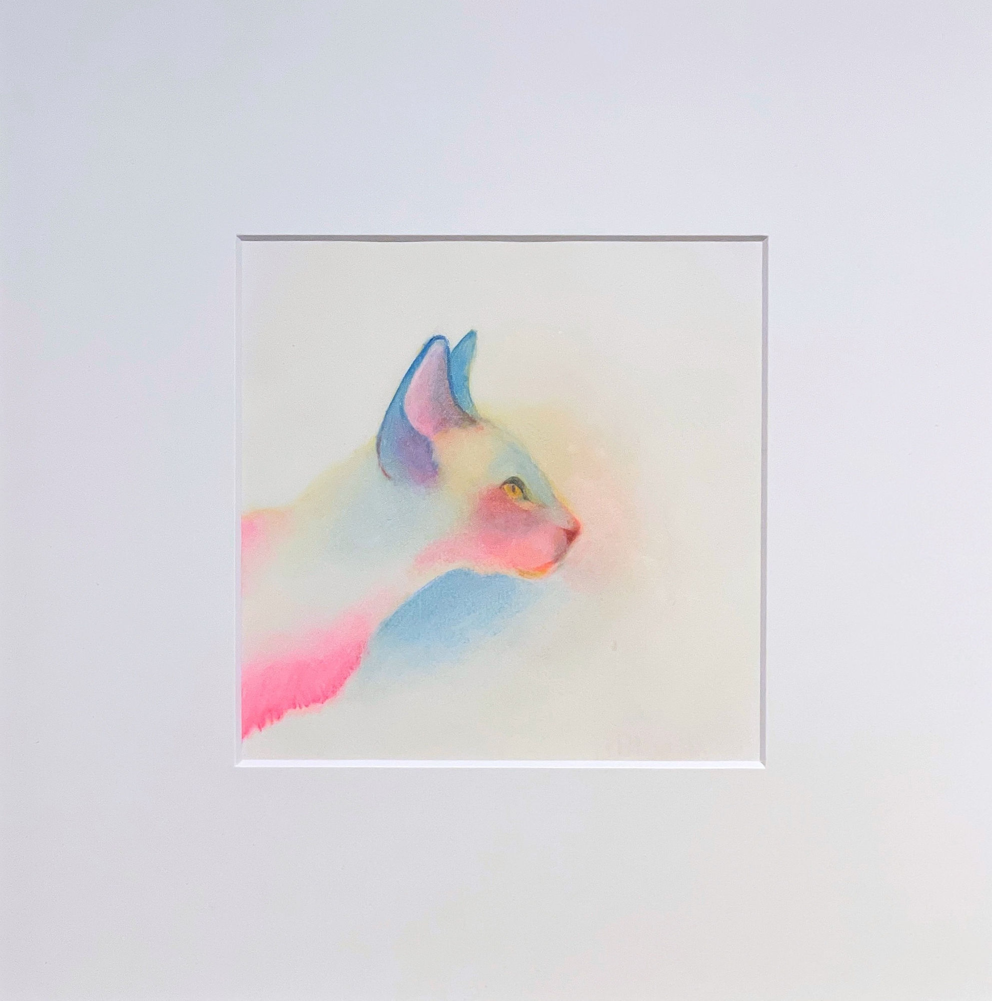 メイメイ, The Cat Gaze, 2020