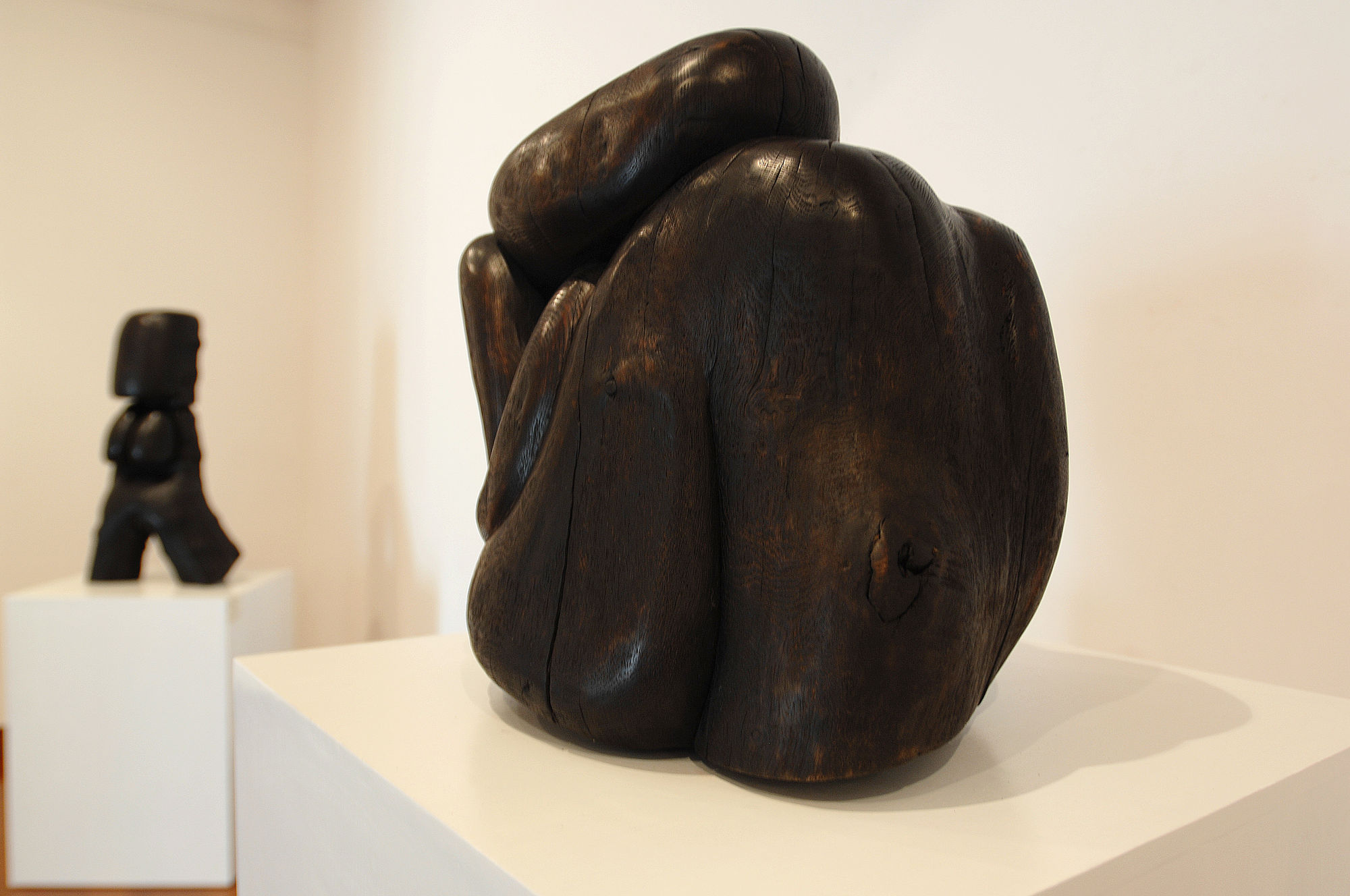 Wang Keping, works from 1979-2006 at He Xiangning Art Museum