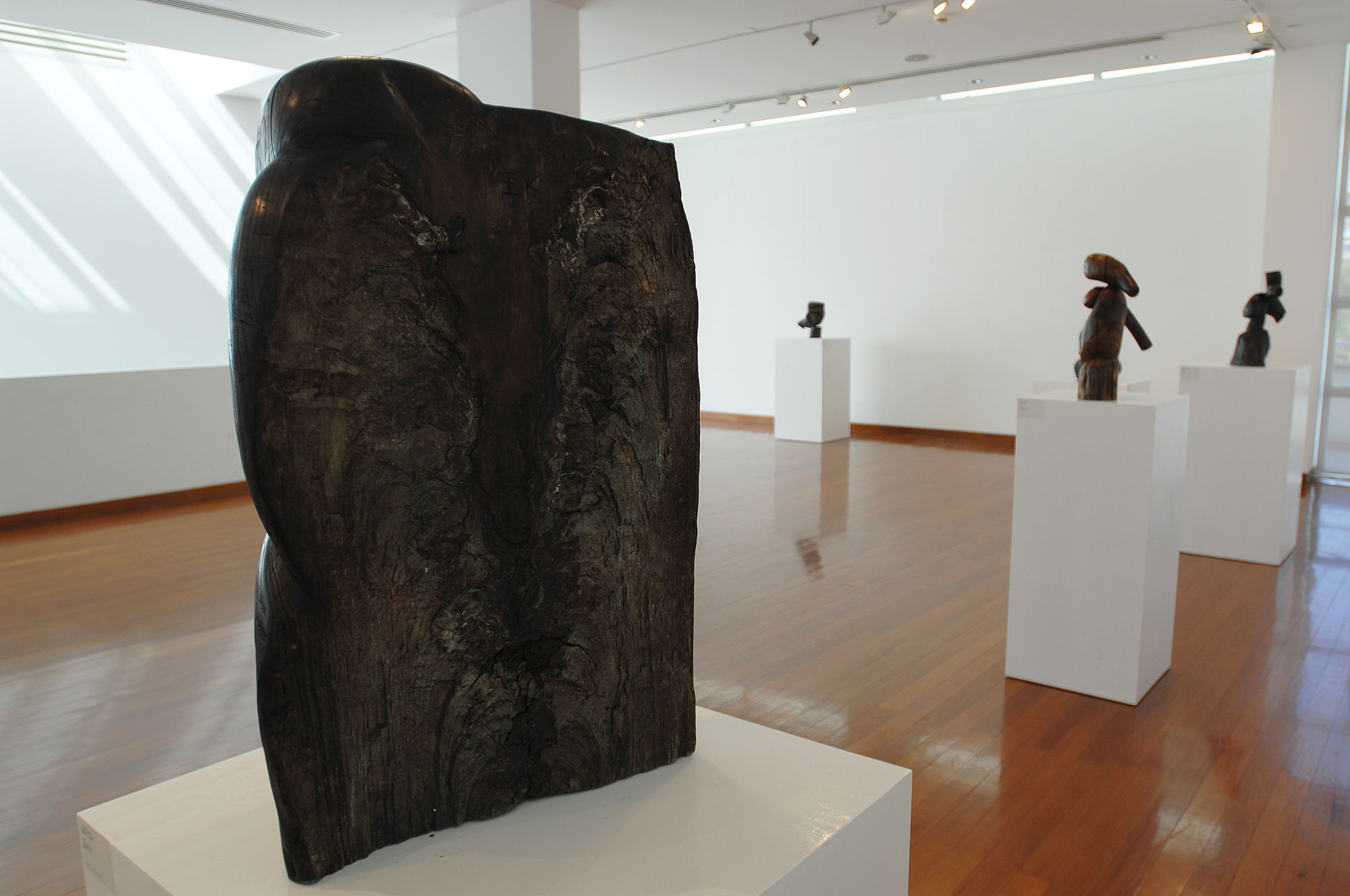 Wang Keping, works from 1979-2006 at He Xiangning Art Museum