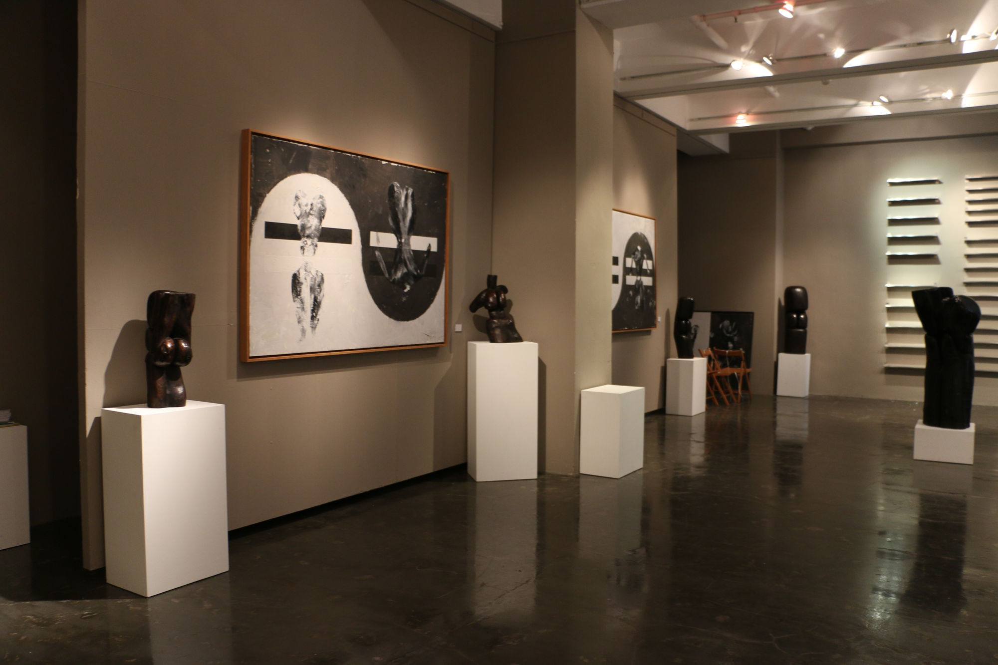 Black and White Cats