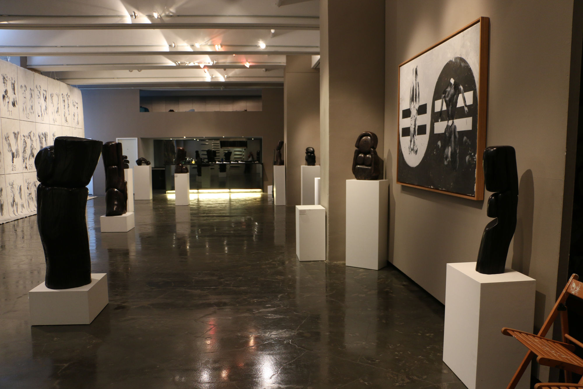 Black and White Cats