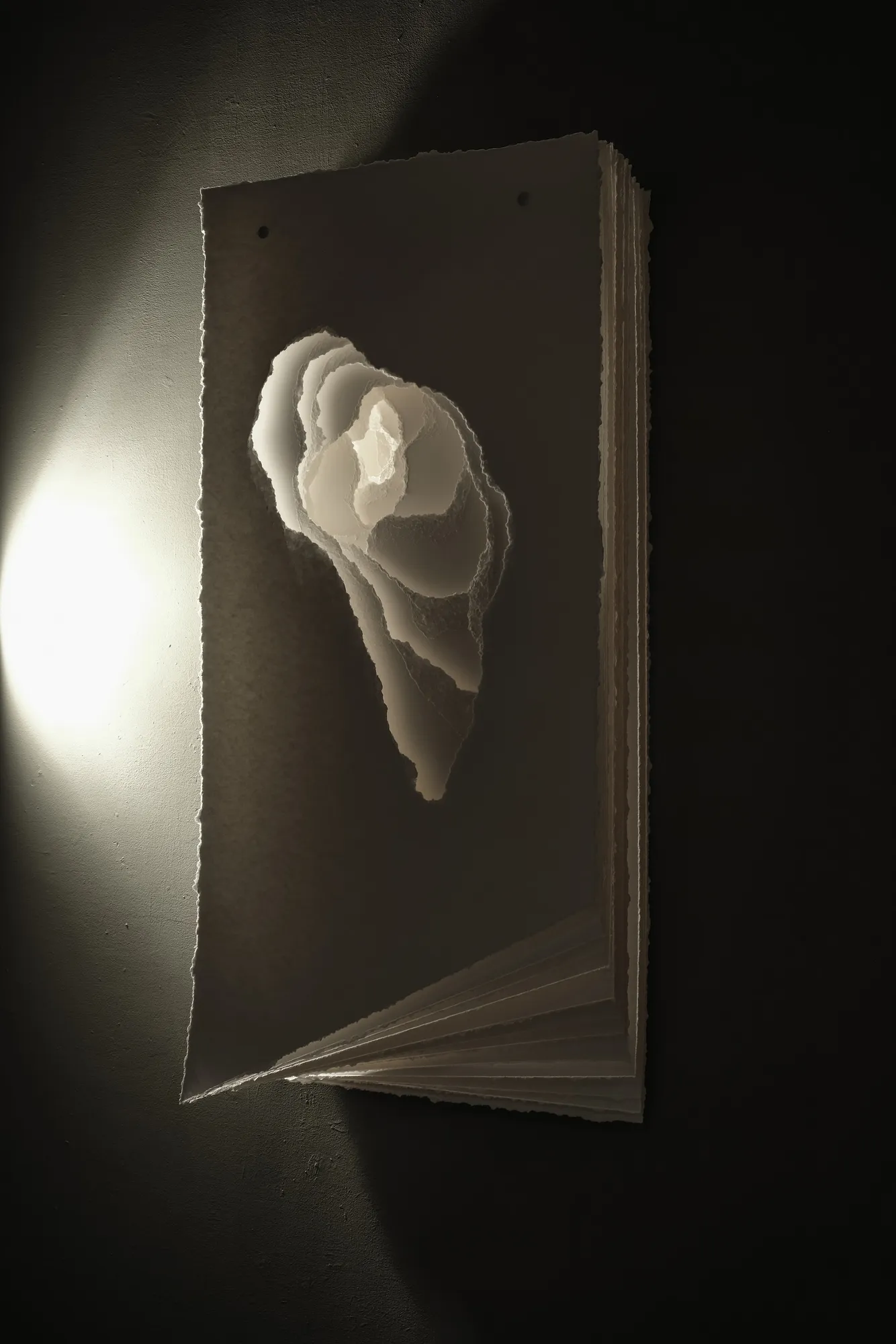 2021-068 Terforation Papier 400 g, gerissen, Halterung aus Metall und Kunststoff paper 400 g, torn, holder made of metal and plastic 118 x 54 x 21 cm copyright by the artist Angela Glajcar photo by Angela Glajcar courtesy of bechter kastowsky galerie