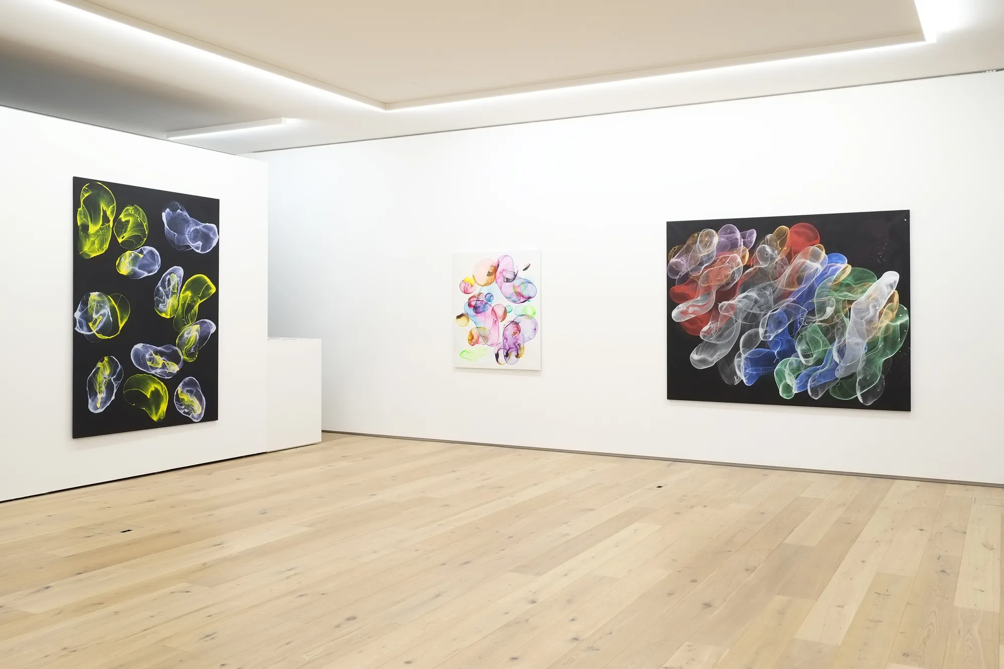 Jiří Georg Dokoupil