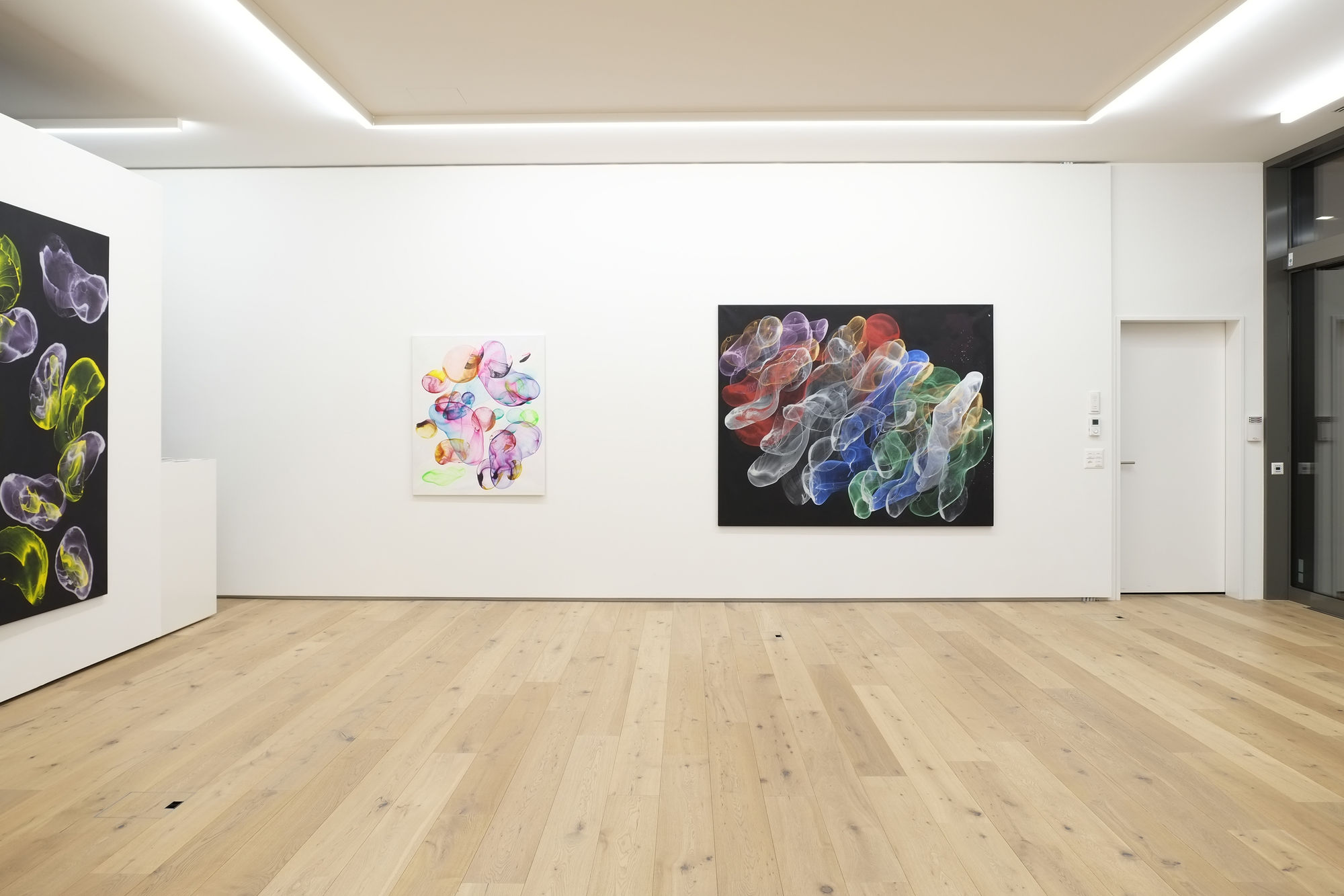 Jiří Georg Dokoupil