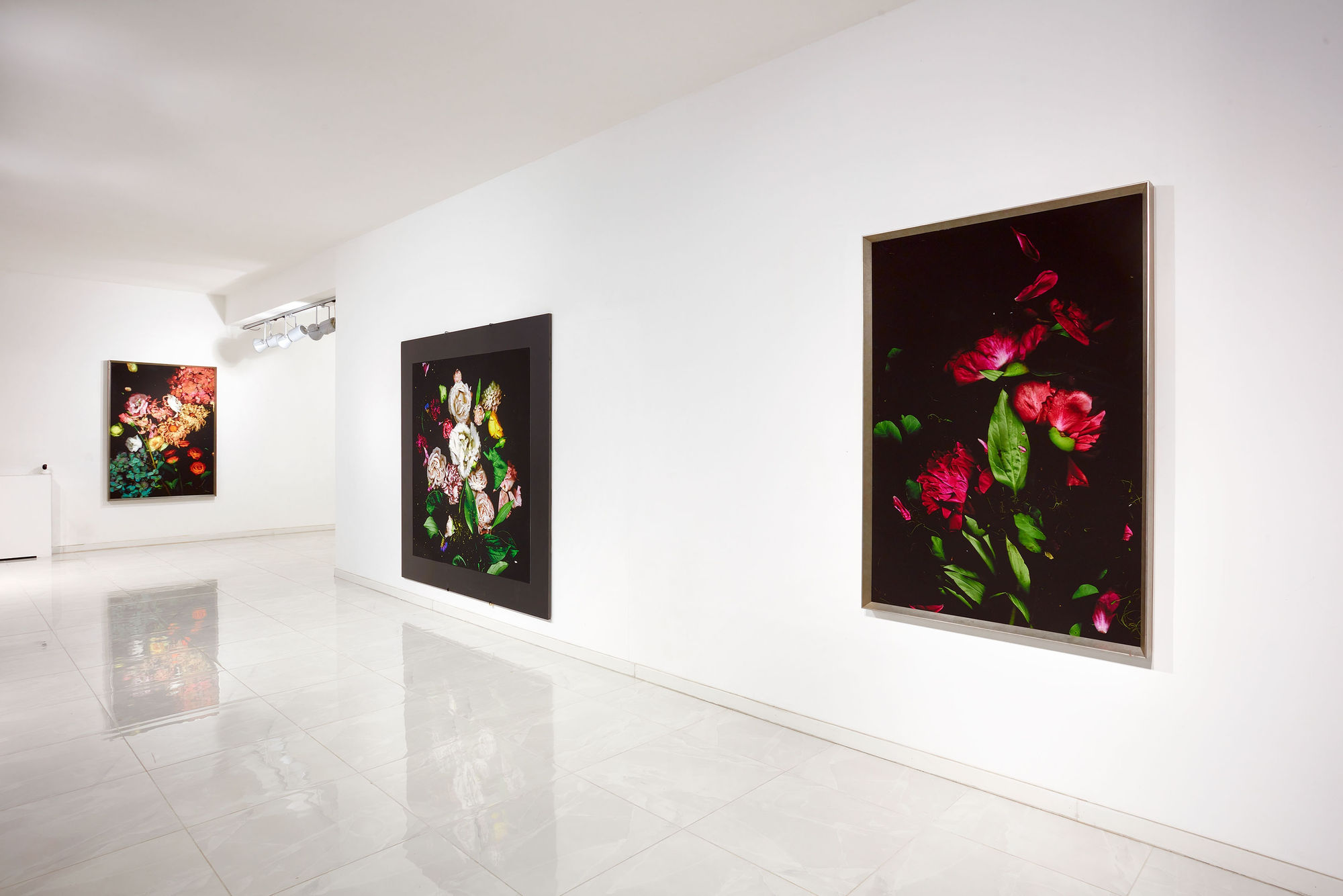 Still_Life_Scan, Bologna