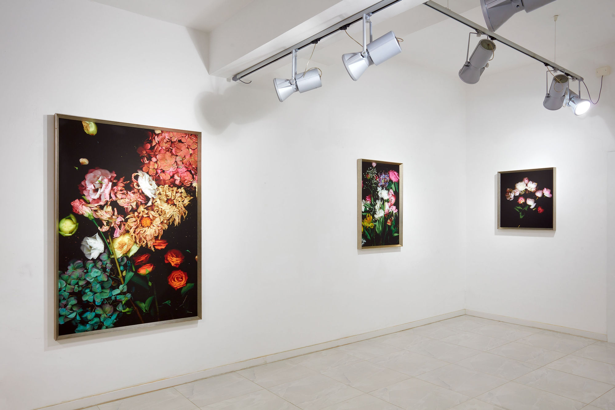 Still_Life_Scan, Bologna