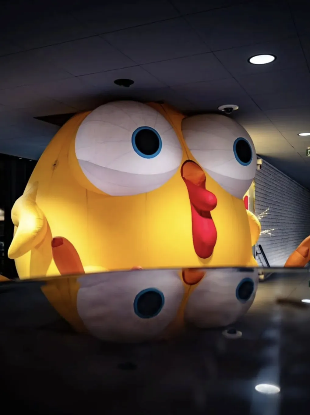 CEET X MINI (exhibition starting December 10 / 2 p.m.)