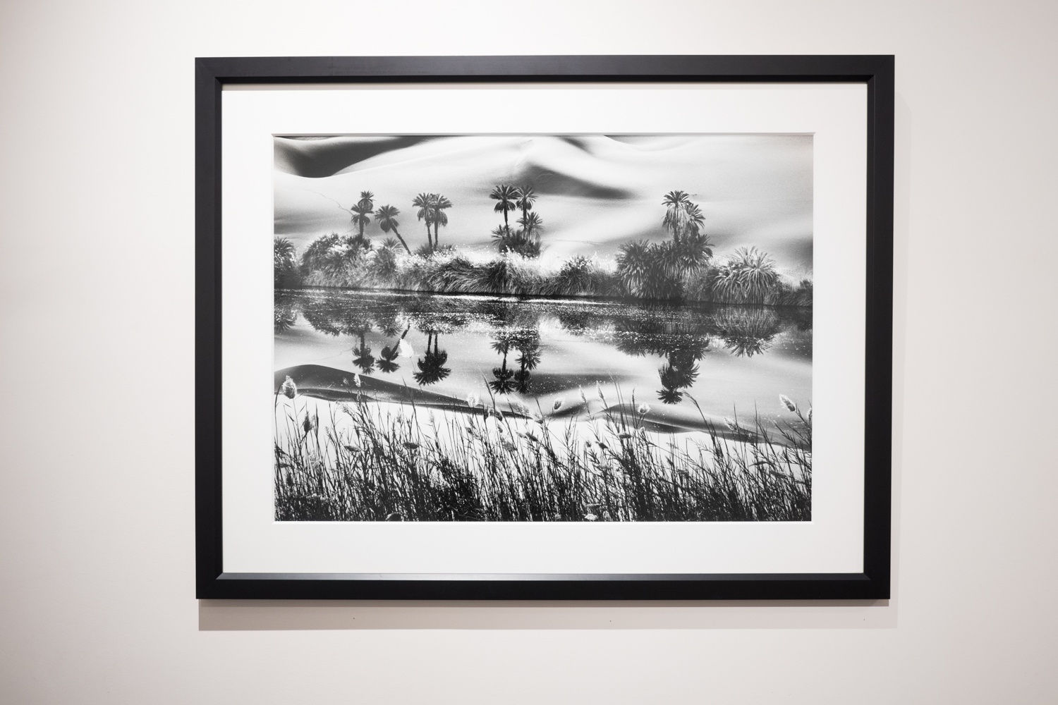 Paris Photo in Boston