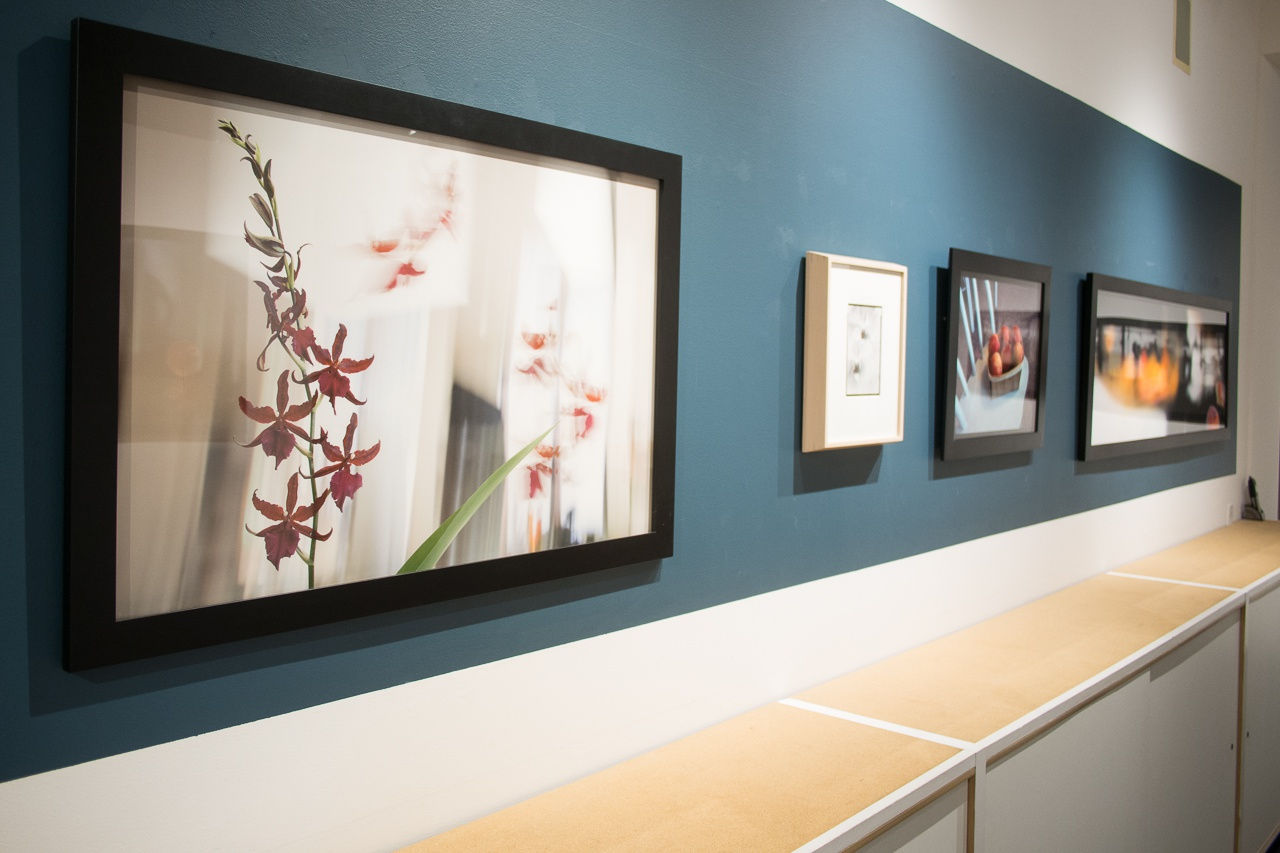 Olivia Parker: Still/Life