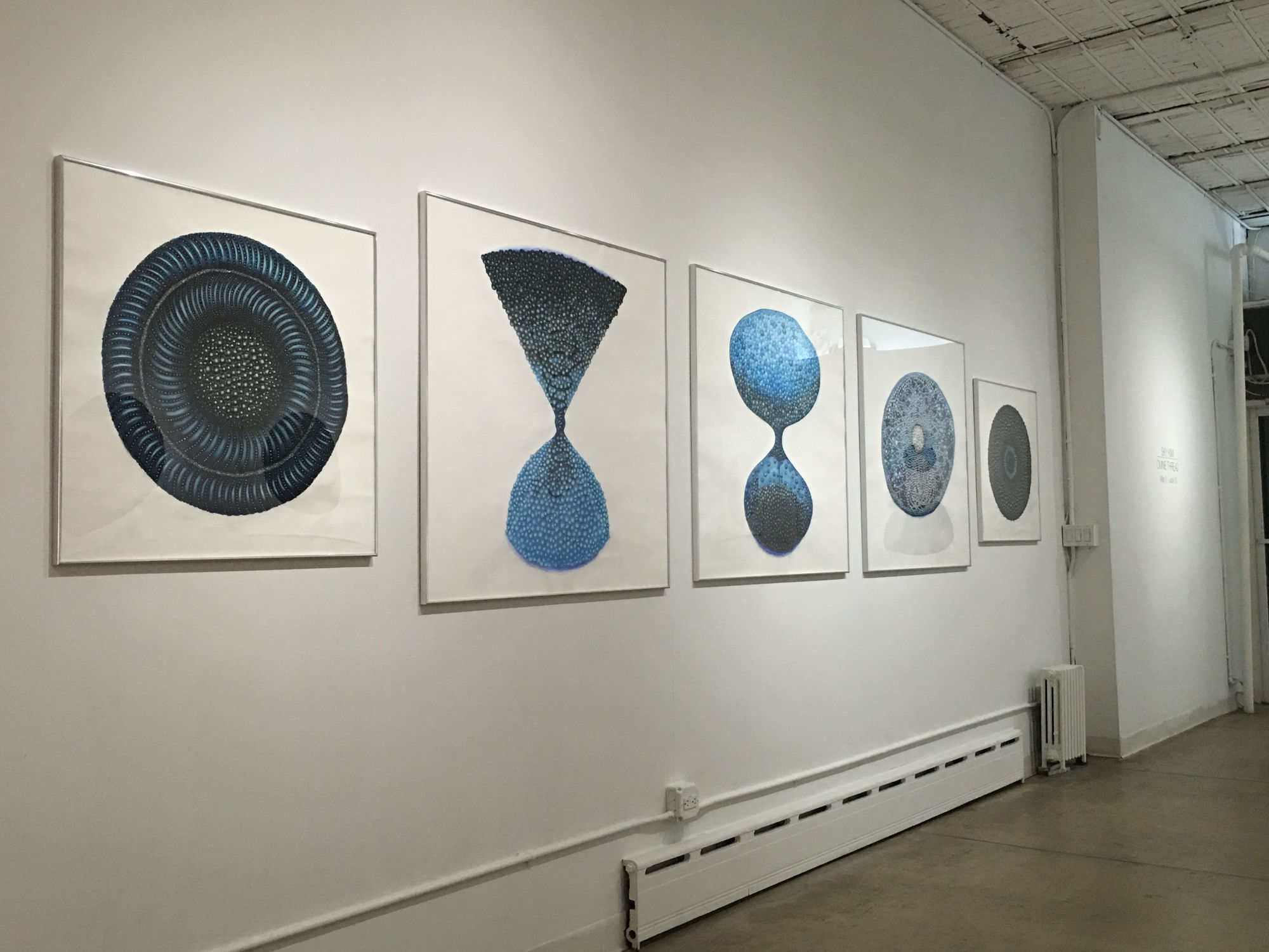 Sky Kim: Divine Thread