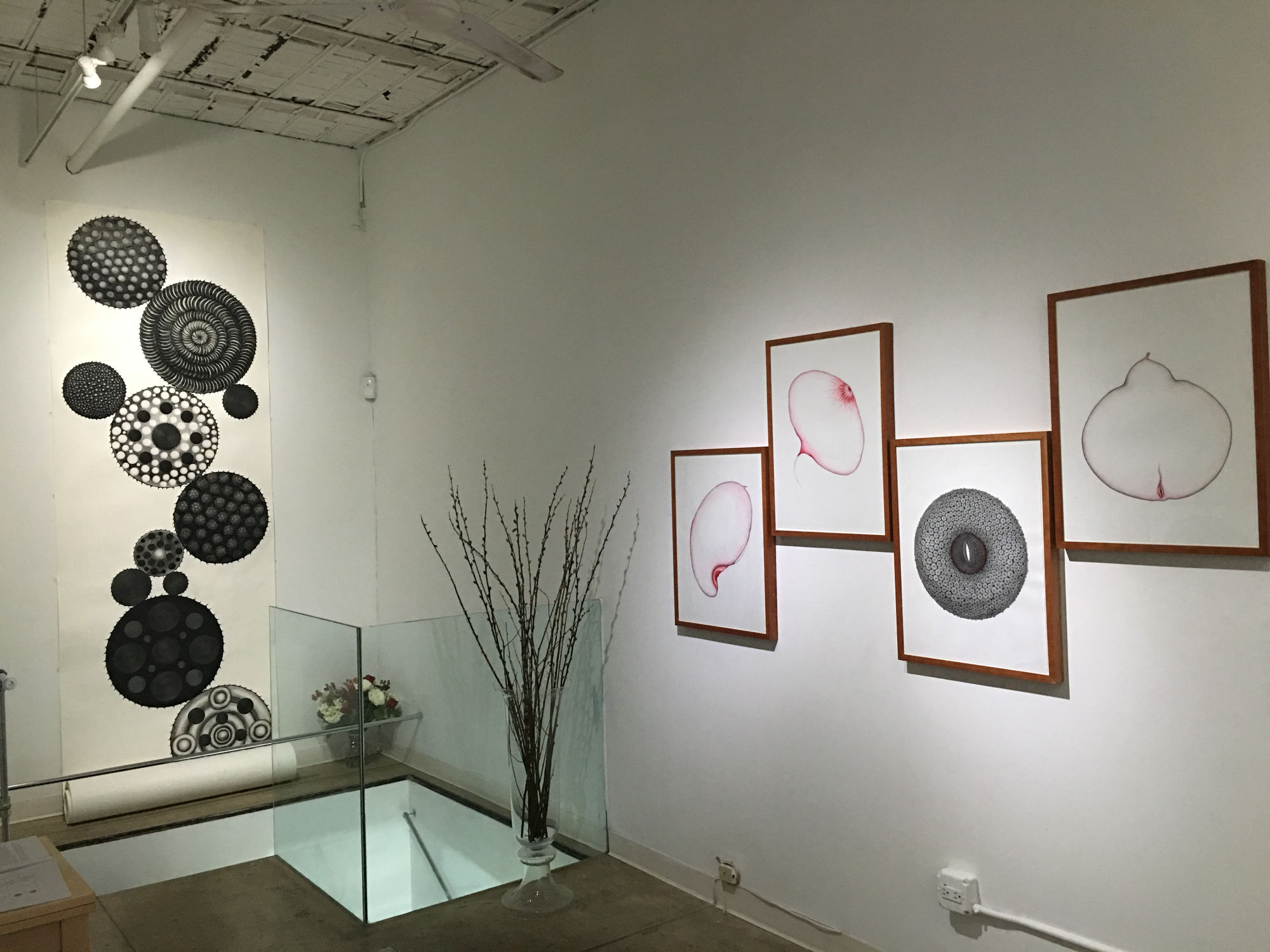 Sky Kim: Divine Thread