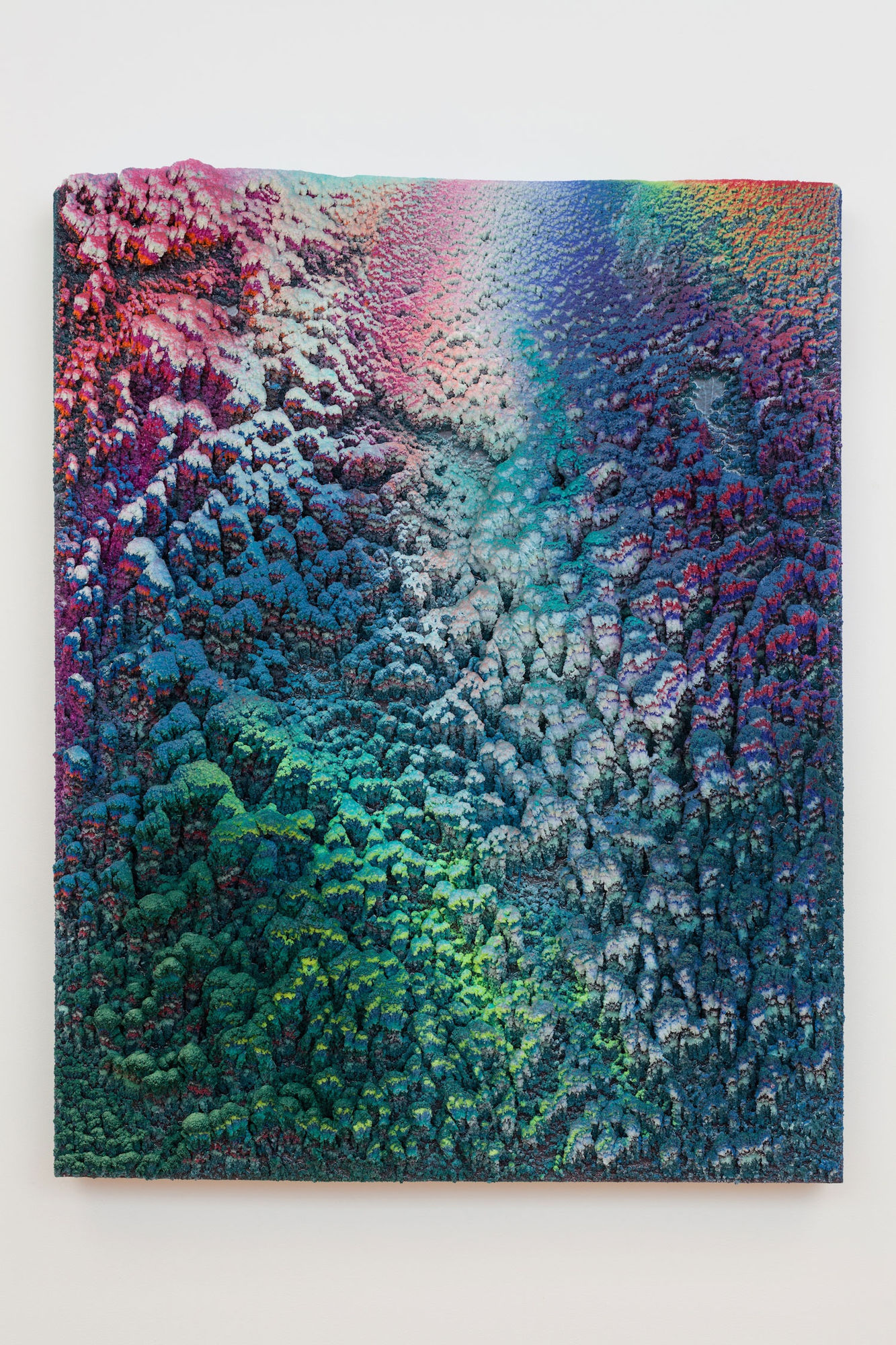 Liz Nielsen and Dylan Gebbia-Richards