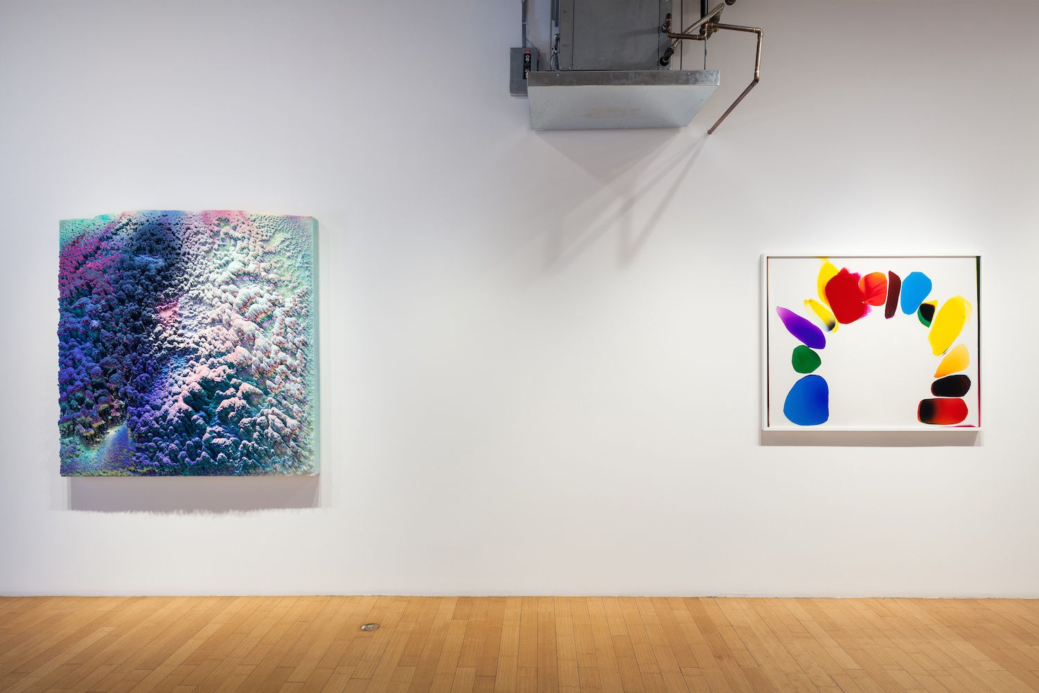 Liz Nielsen and Dylan Gebbia-Richards