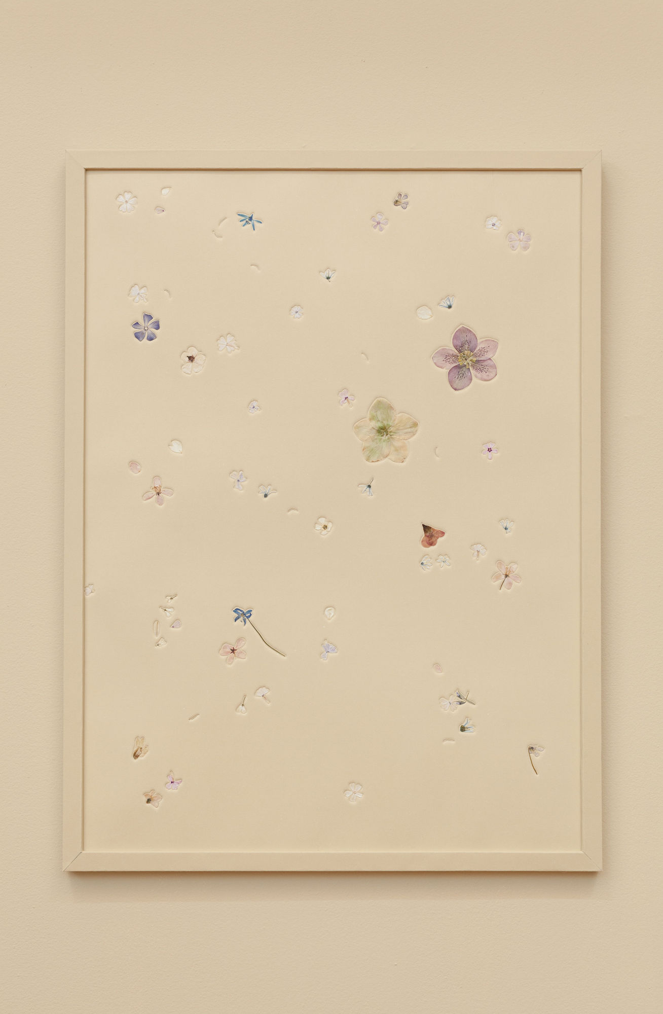 Adam Milner, Body Fossils, 2017