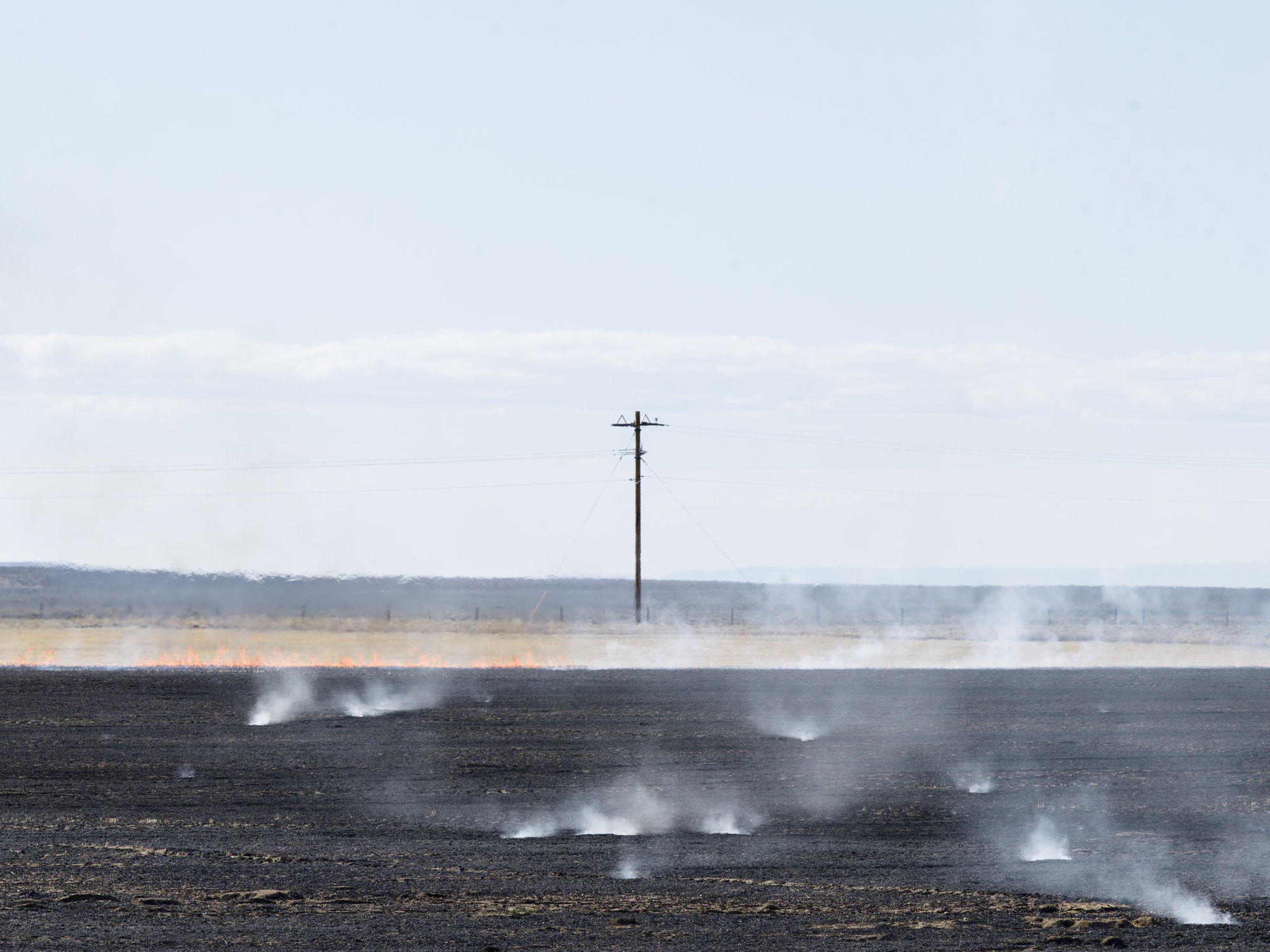 Caleb Stein and Andrea Orejarena