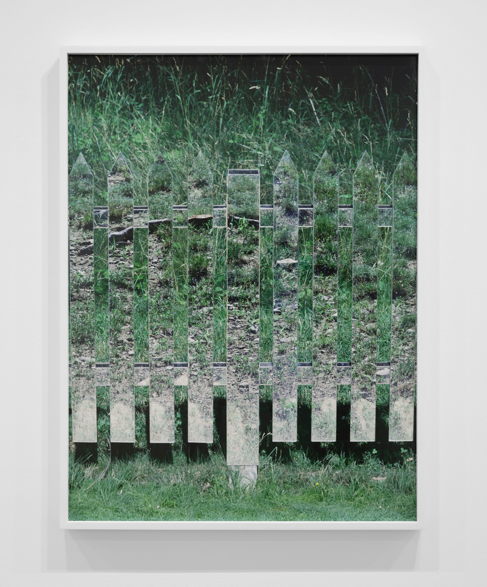 Caleb Stein and Andrea Orejarena