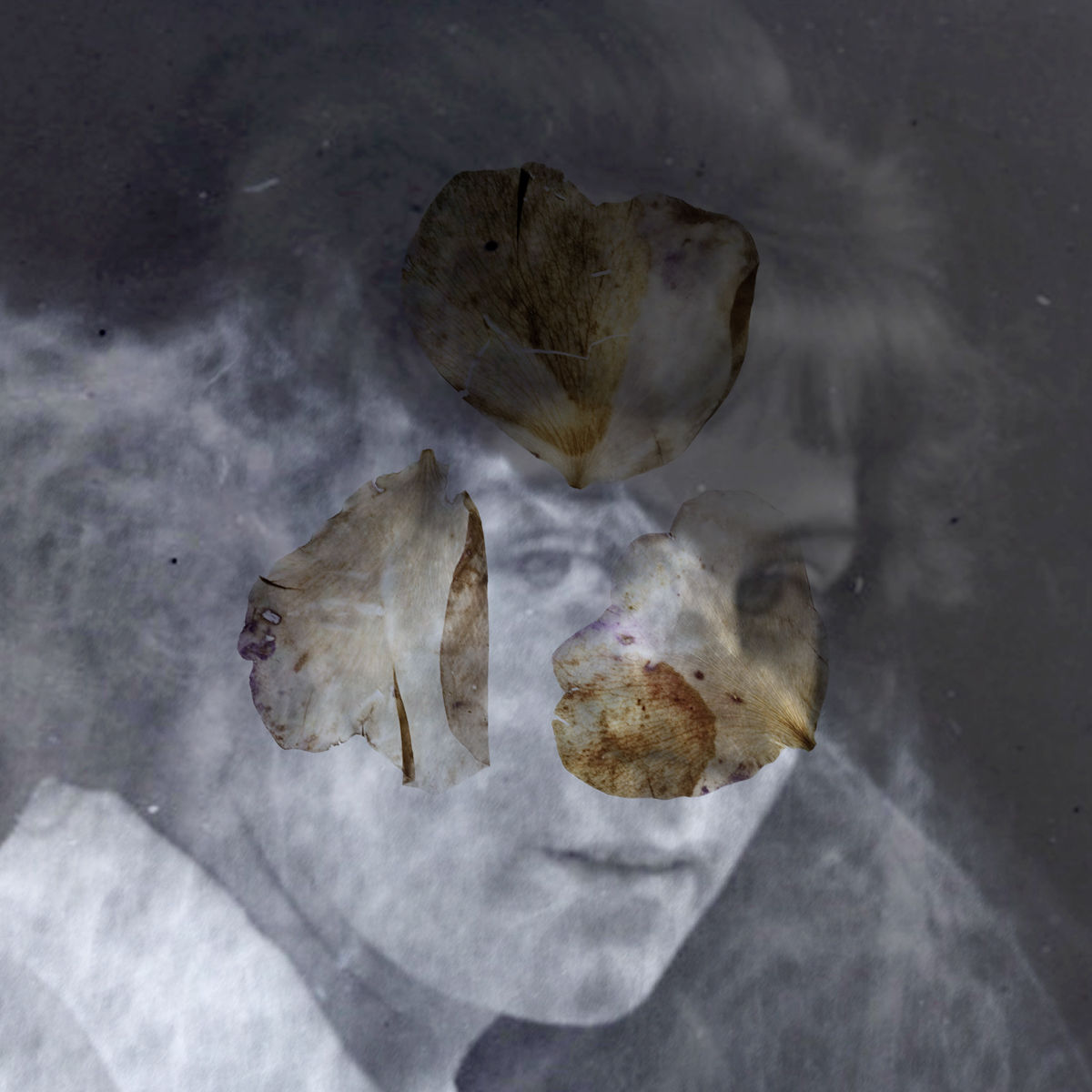 Alessandra Calò, Les Inconnues, 2018