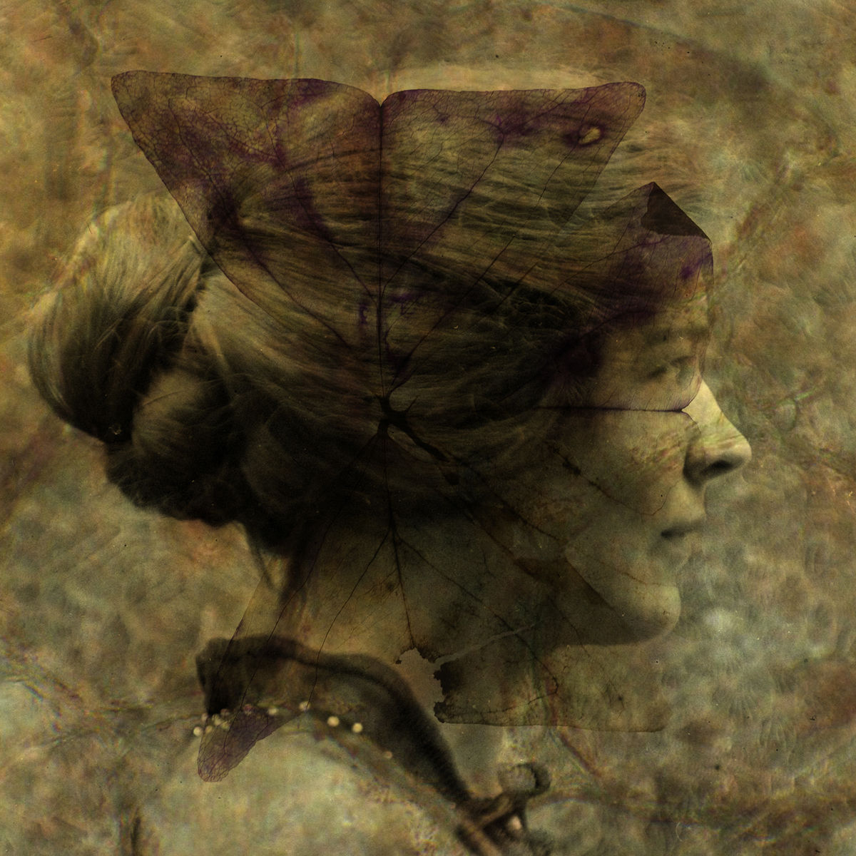 Alessandra Calò, Les Inconnues, 2018