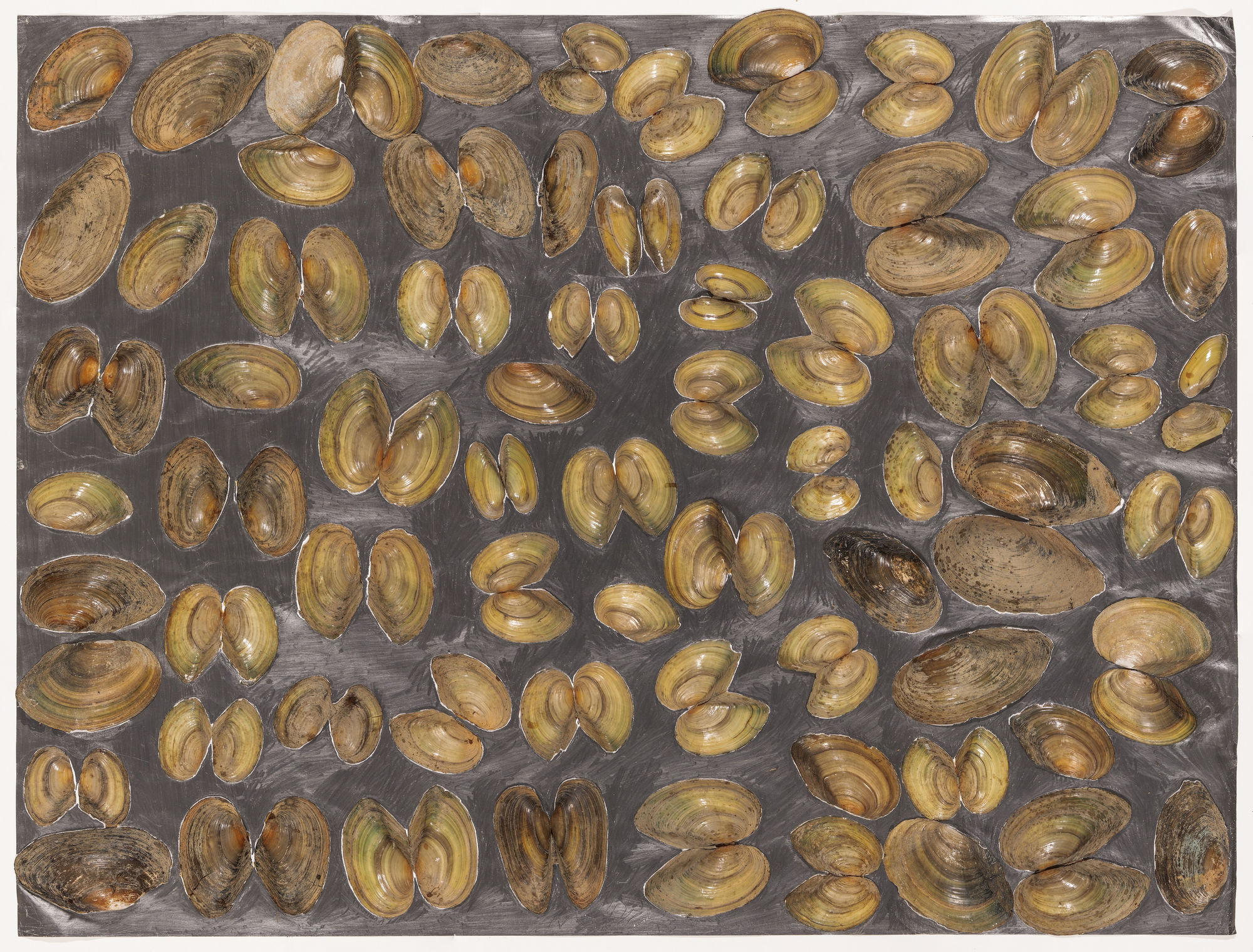 Freedom of Form | Carel Visser, the later years