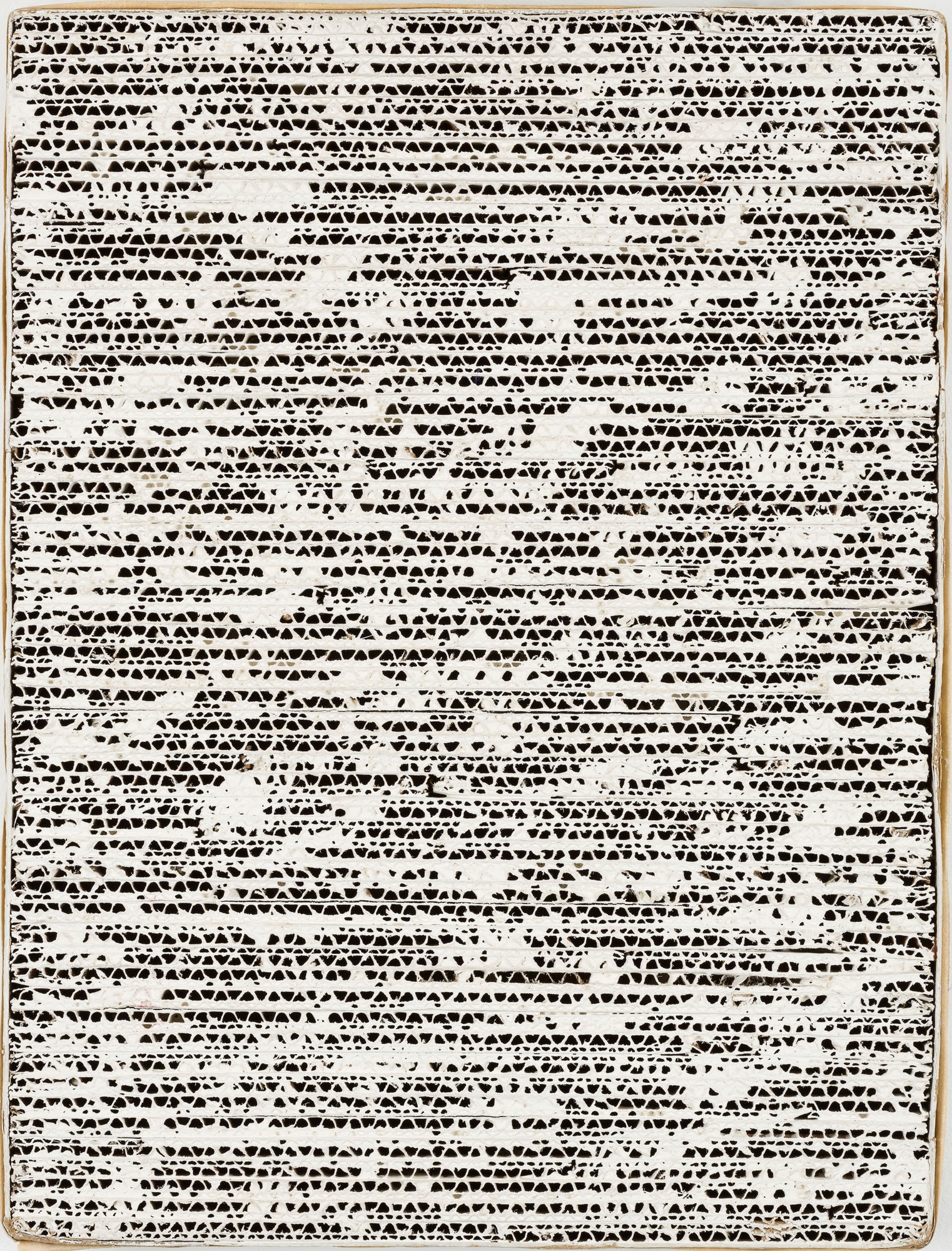 Earth & Light | Jaap Wagemaker & Jan Schoonhoven