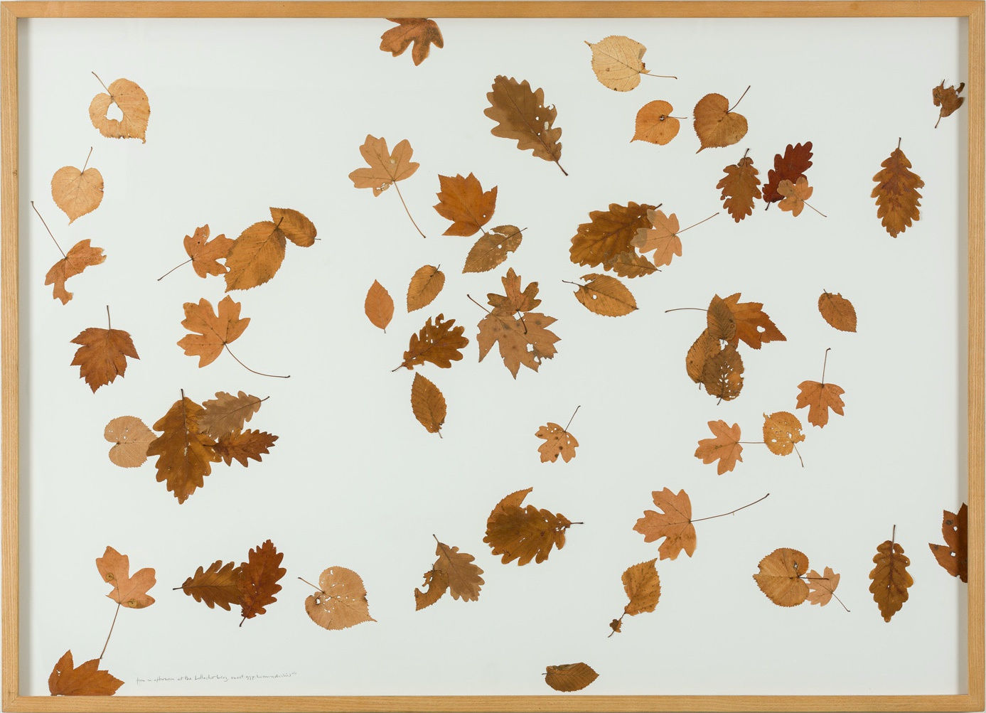 TEFAF Maastricht 2020