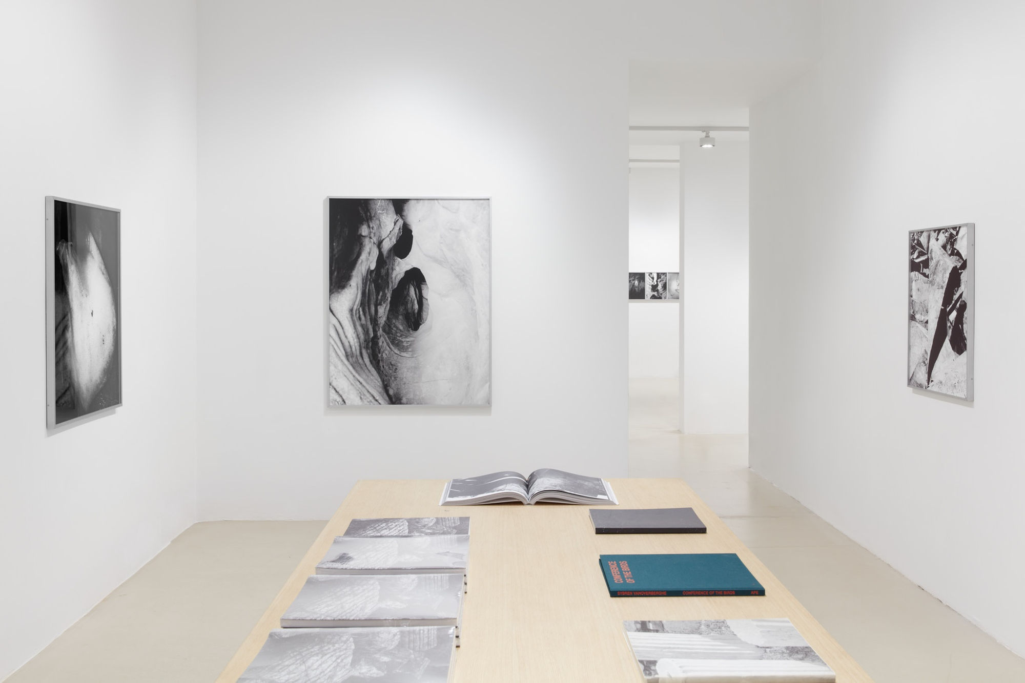 sybren vanoverberghe