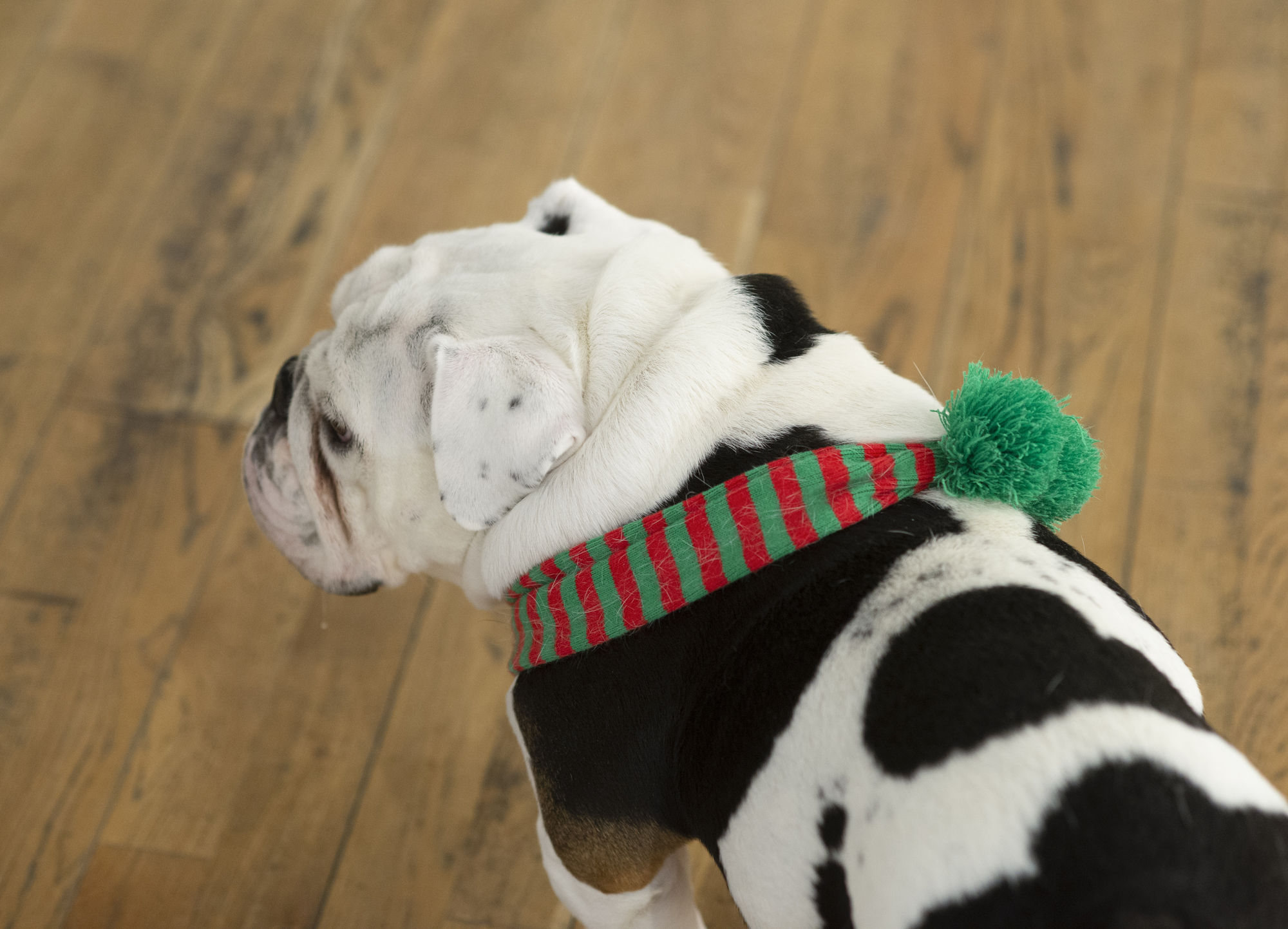 Canadian Historical and Contemporary Art Auction