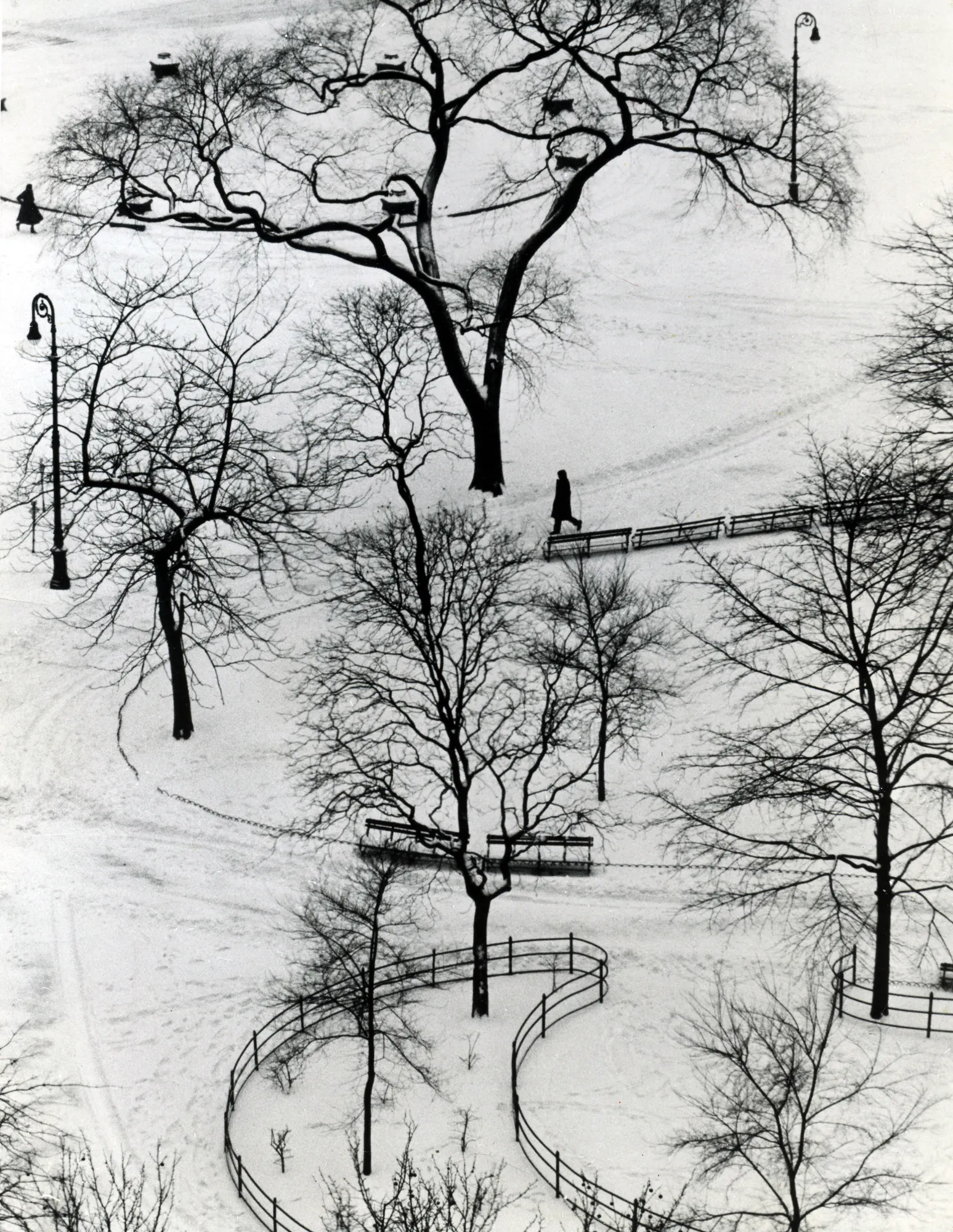 André Kertész (1894-1985) Washington Square Day, 1954 Gelatin silver print, printed c. 1970s Estate stamp on verso 20 x 24 in (50.8 x 61 cm)