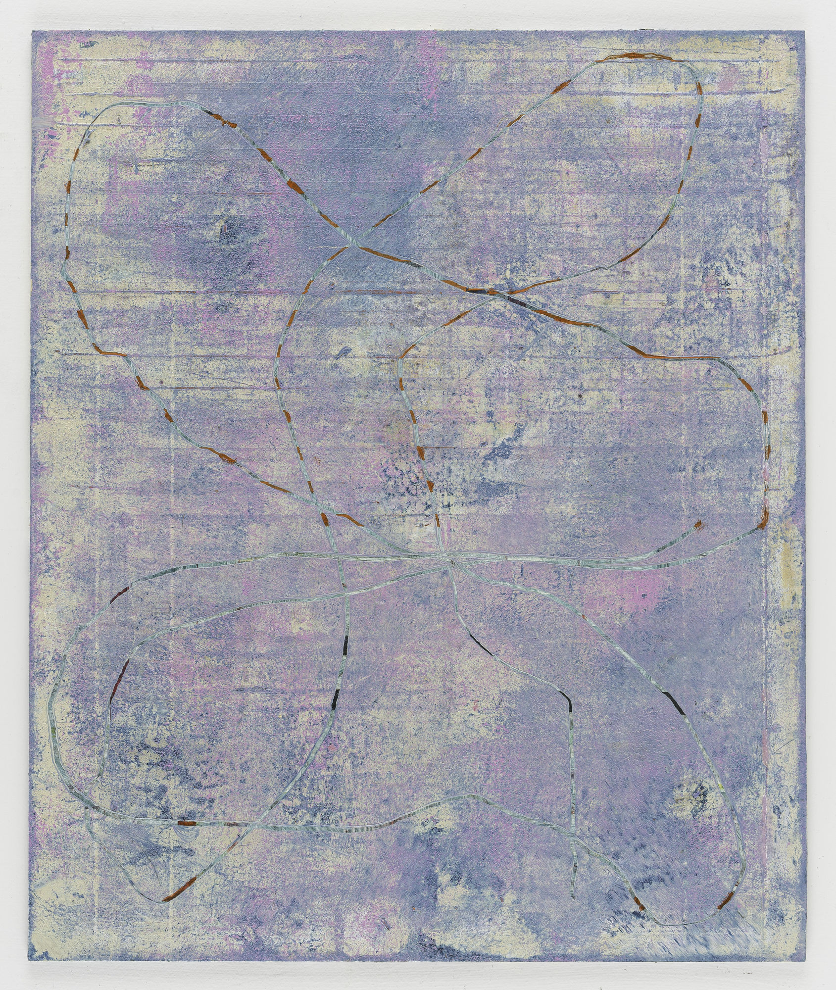 C.&rsquo;s butterfly, 2025