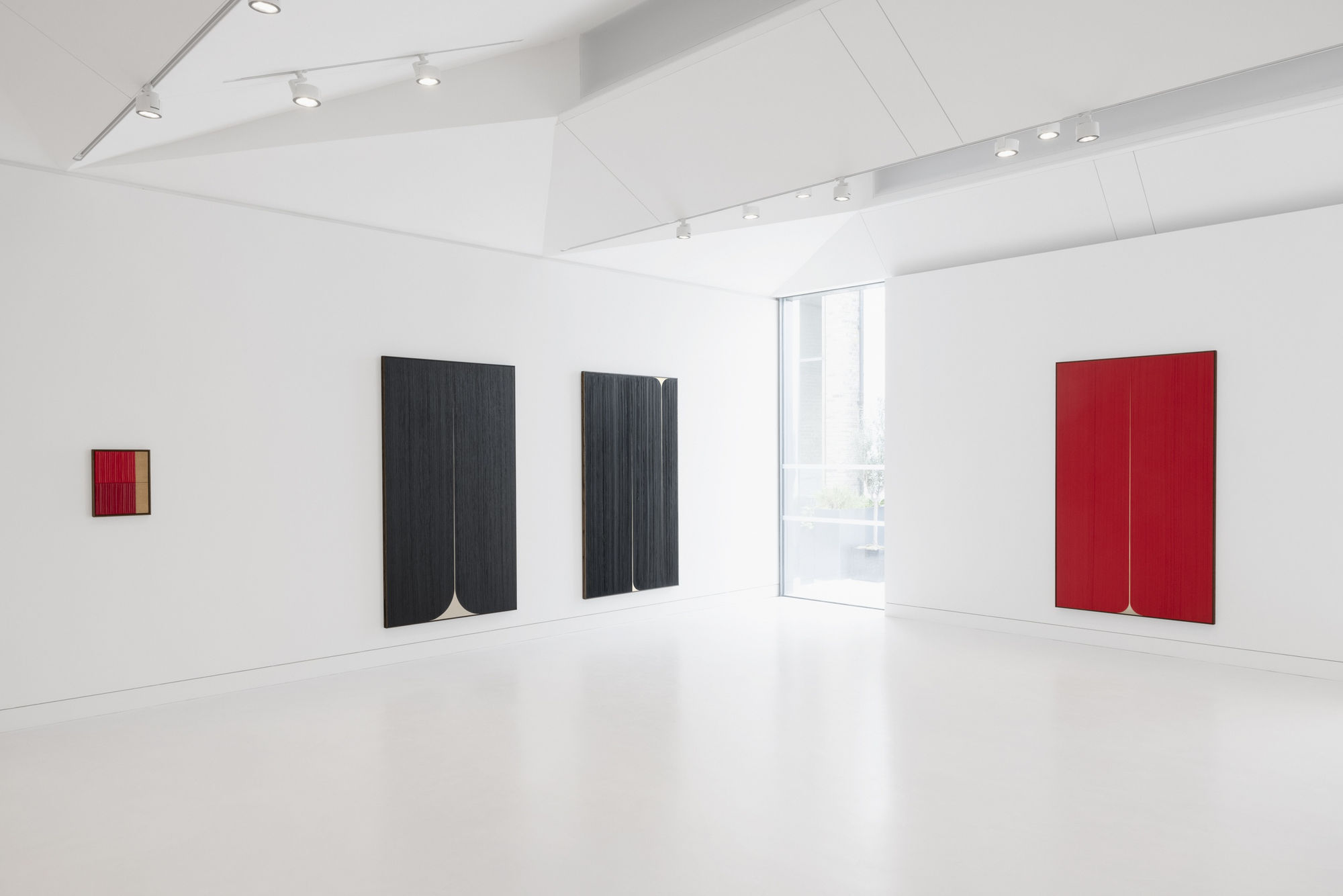 JOHNNY ABRAHAMS: AFTER HYACINTH, AFTER ANEMONE