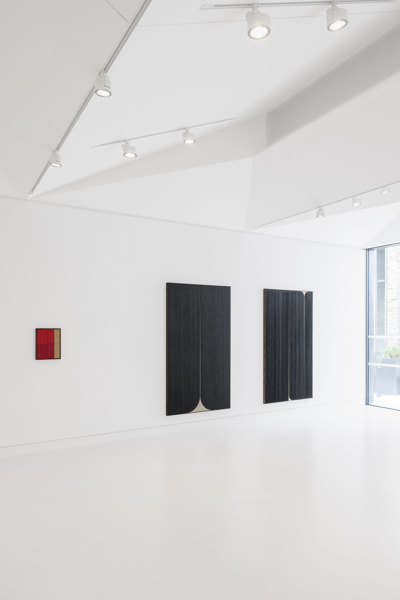 JOHNNY ABRAHAMS: AFTER HYACINTH, AFTER ANEMONE