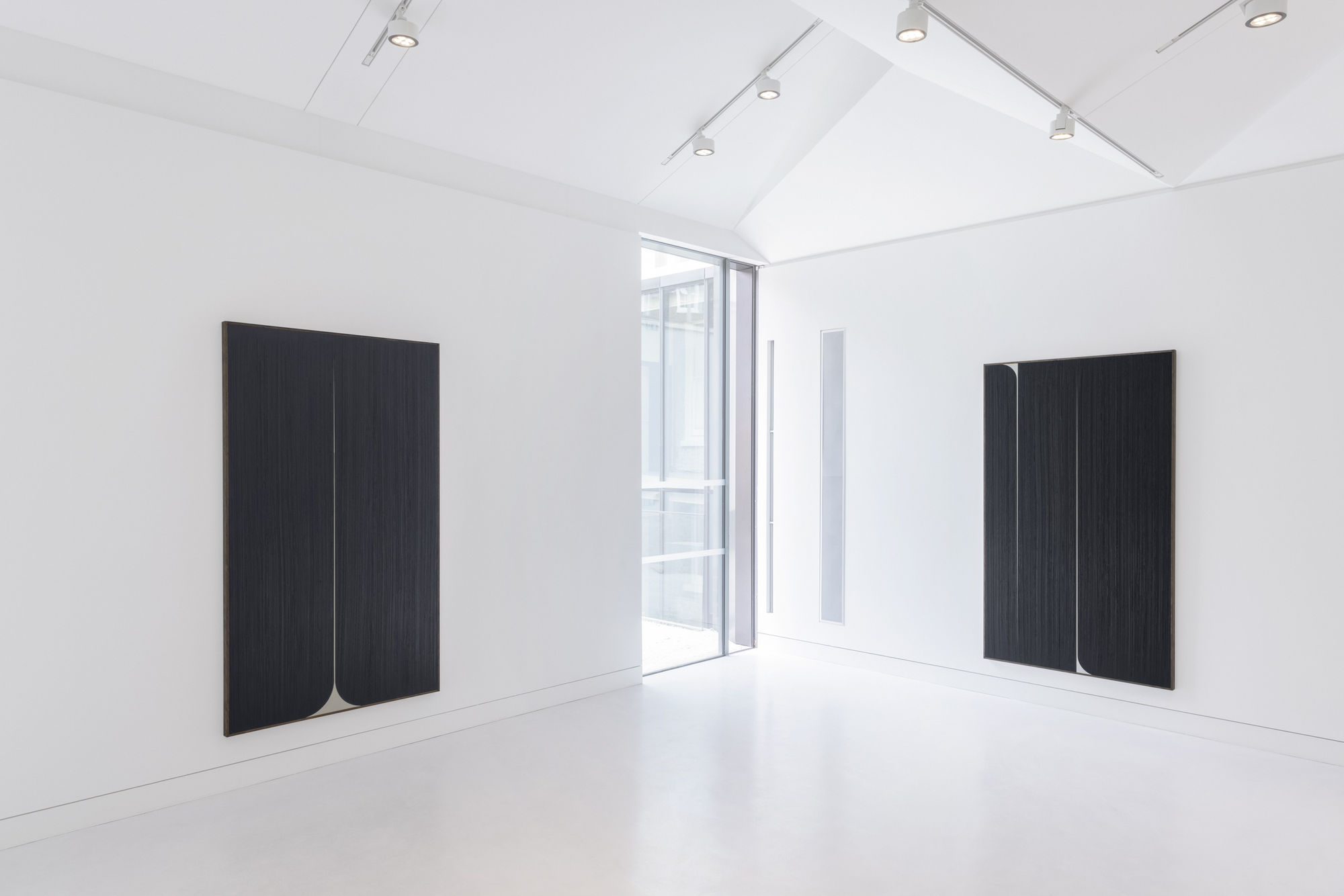 JOHNNY ABRAHAMS: AFTER HYACINTH, AFTER ANEMONE