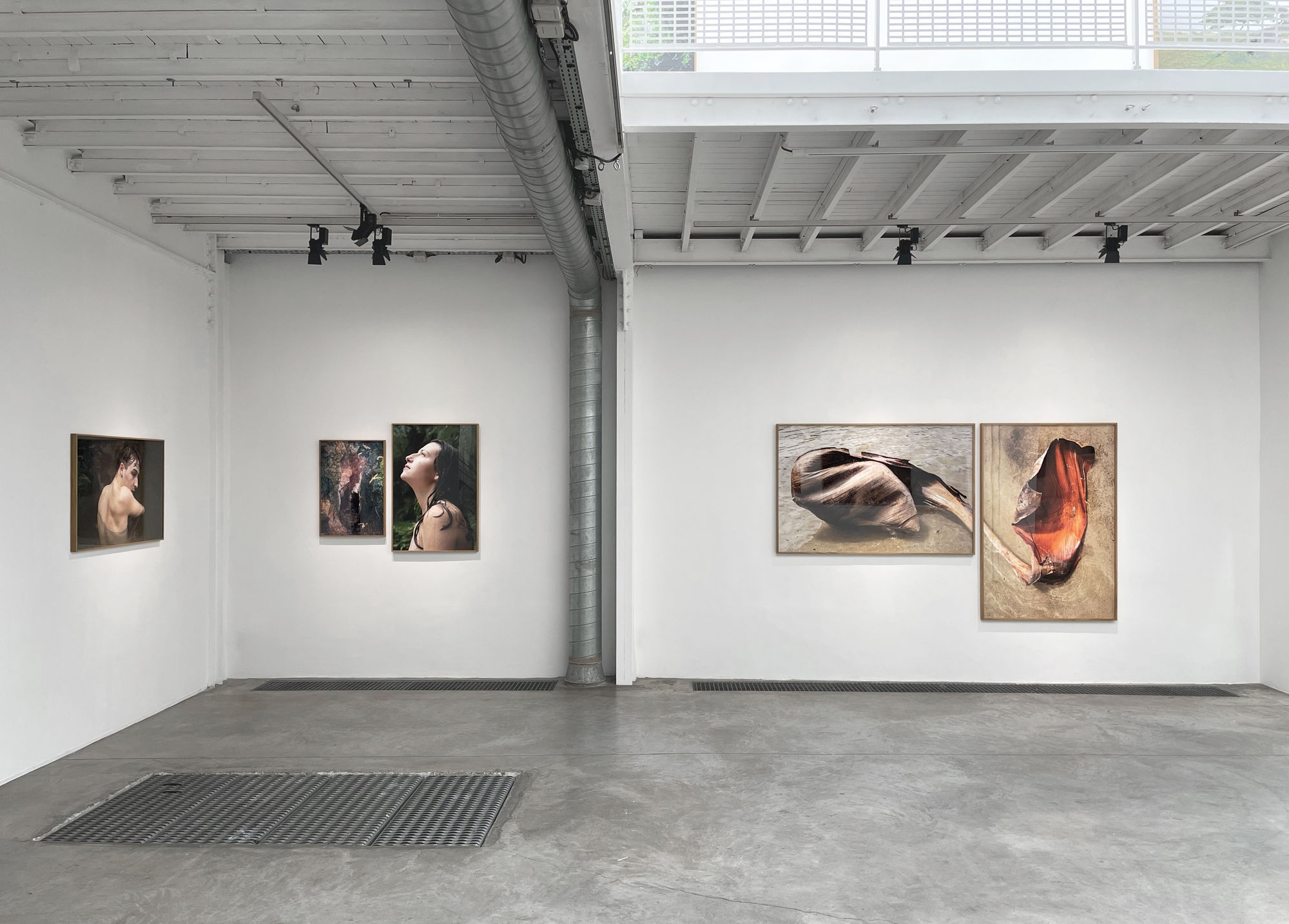 Sandra Rocha | Le moindre souffle