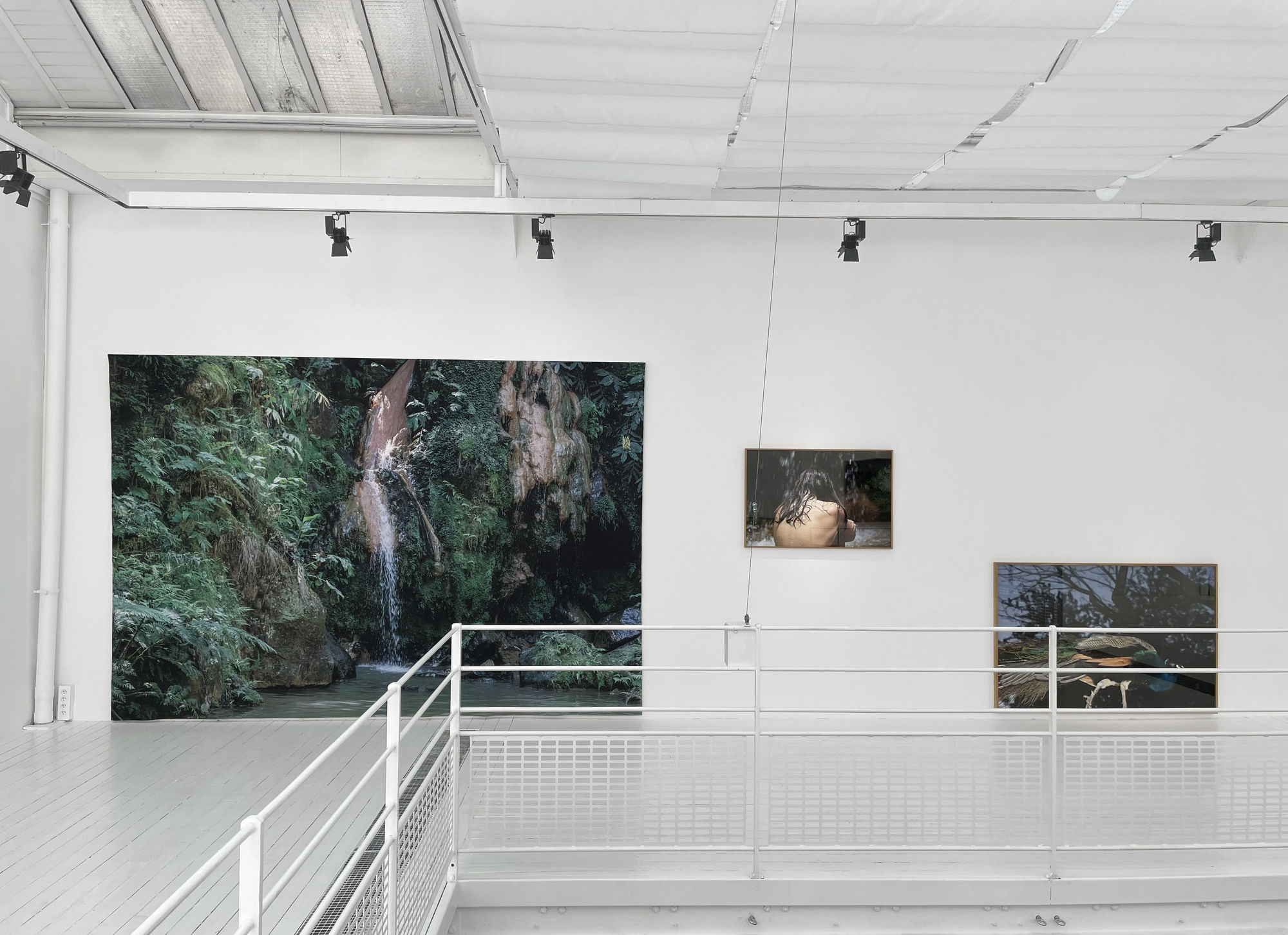 Sandra Rocha | Le moindre souffle