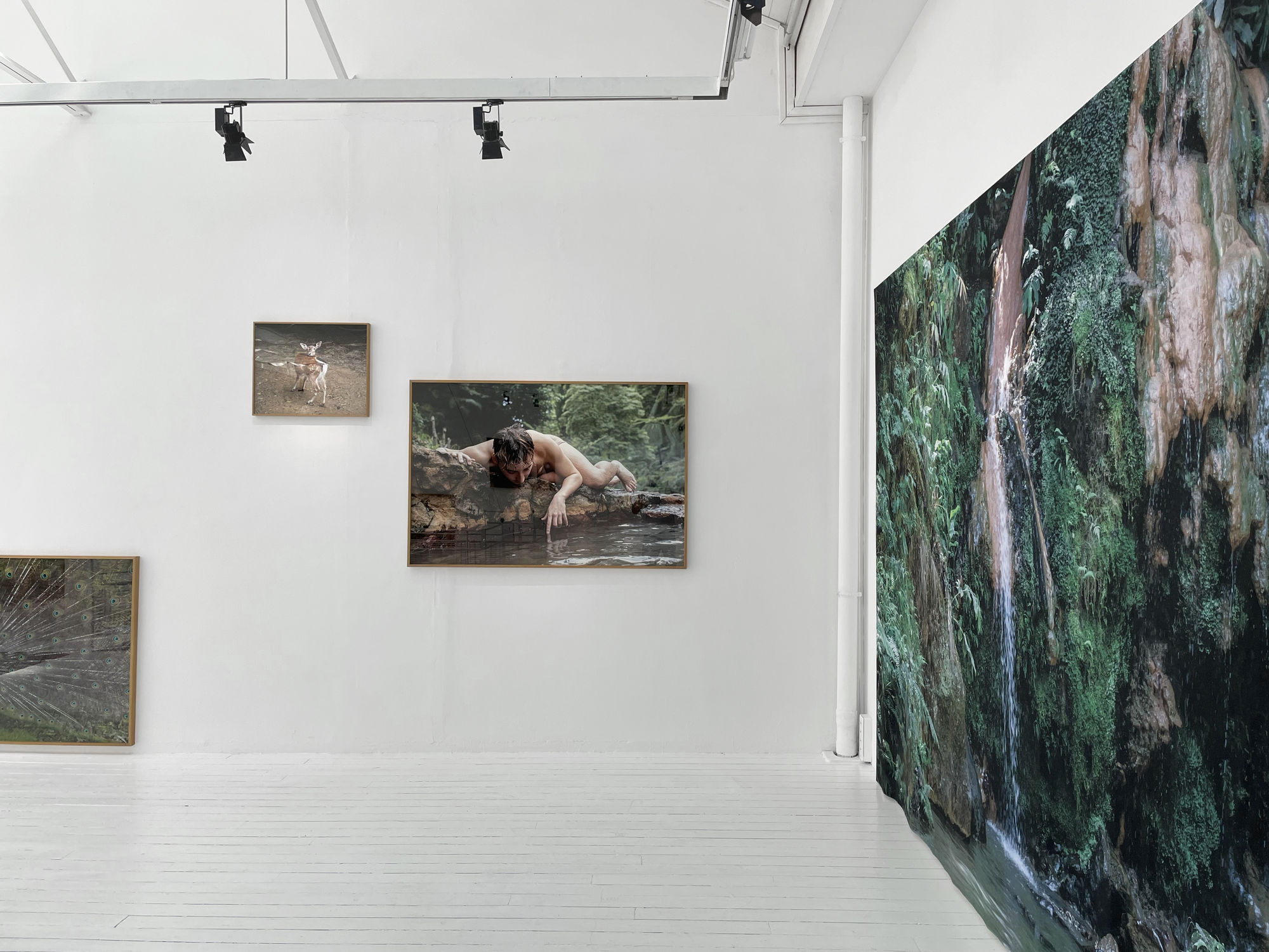 Sandra Rocha | Le moindre souffle