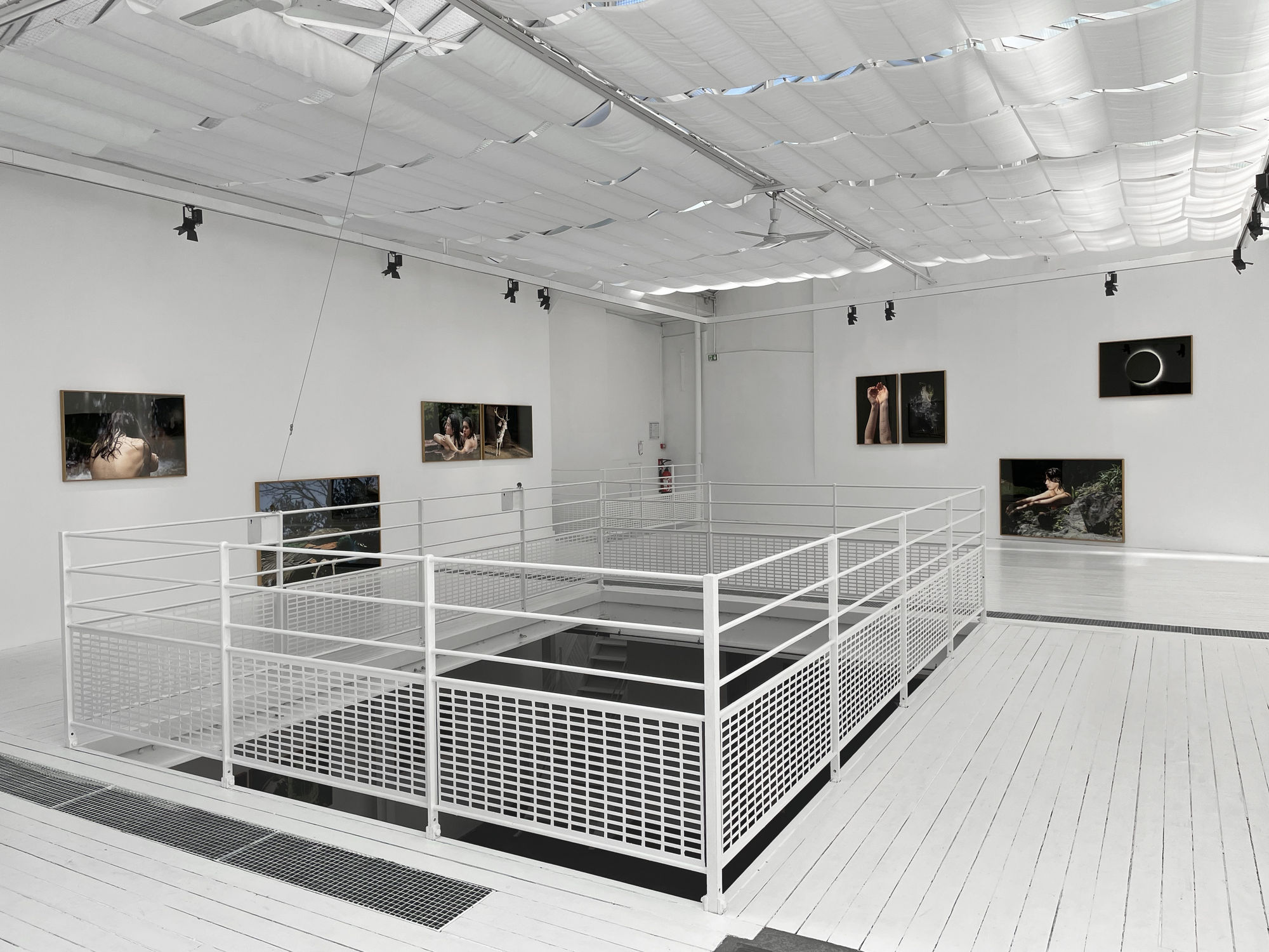 Sandra Rocha | Le moindre souffle