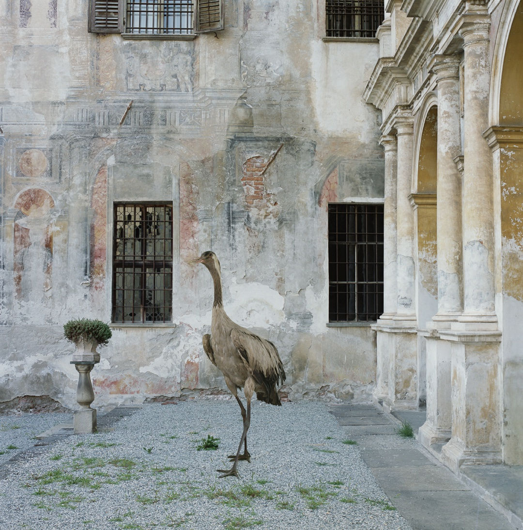Karen Knorr
