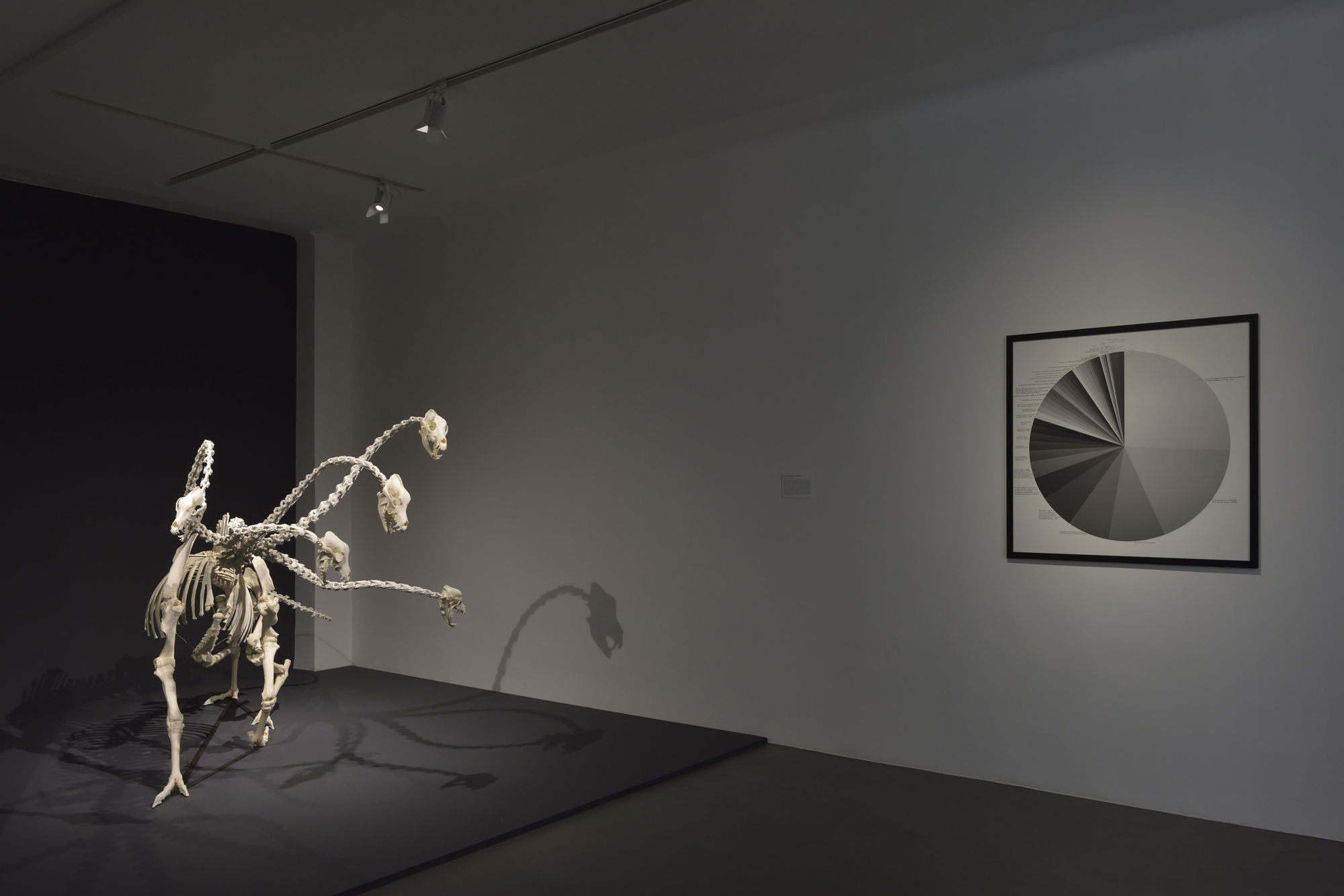 Art Orienté Objet | Je suis contre !