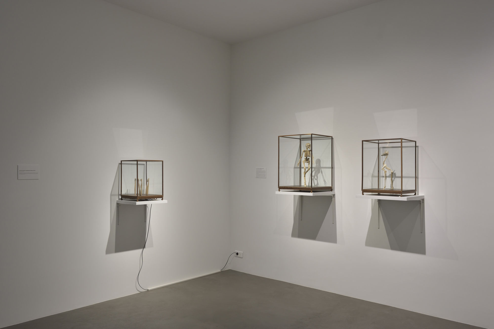 Art Orienté Objet | Je suis contre !