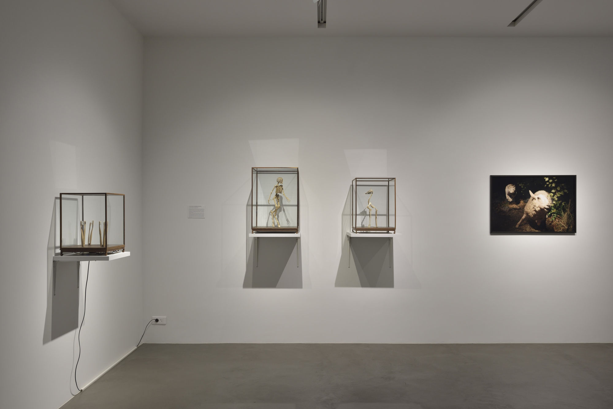 Art Orienté Objet | Je suis contre !