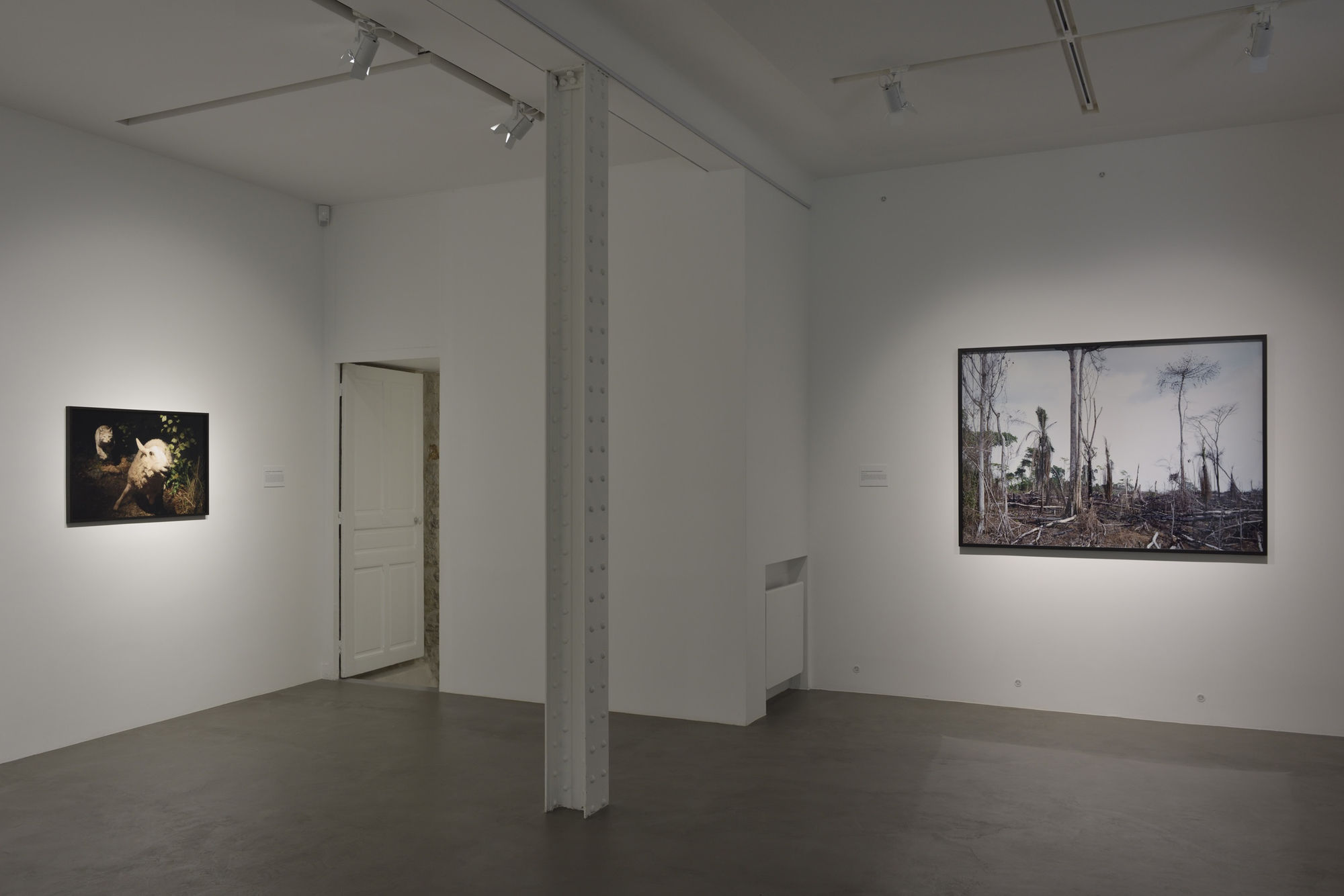 Art Orienté Objet | Je suis contre !