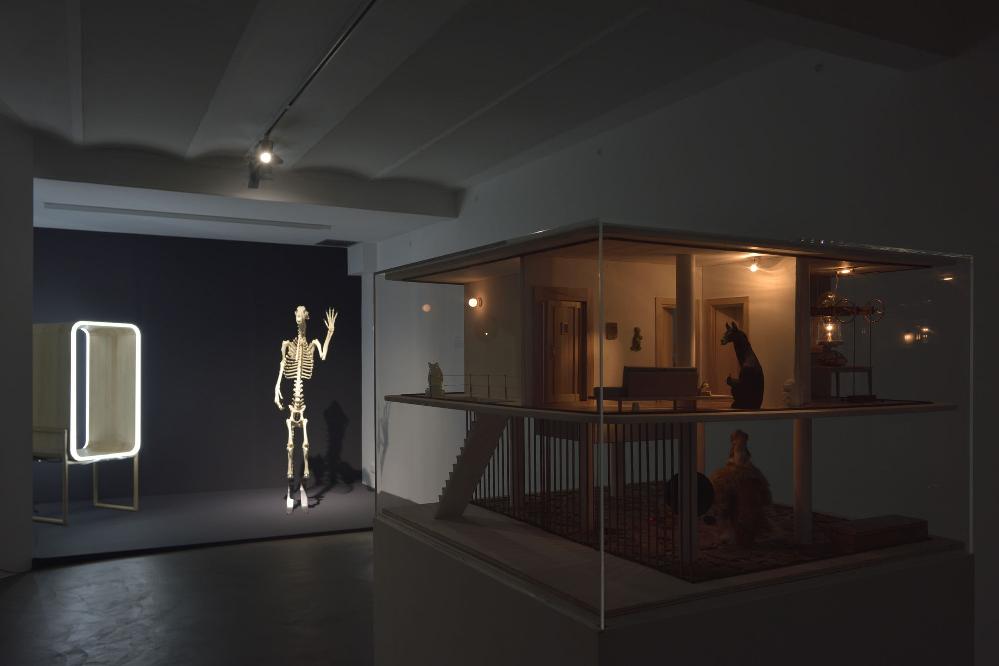 Art Orienté Objet | Je suis contre !