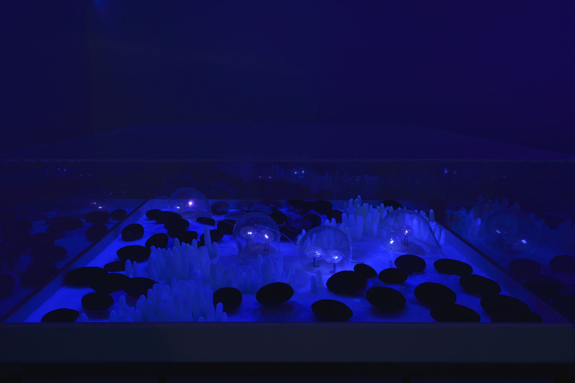 Art Orienté Objet | Je suis contre !