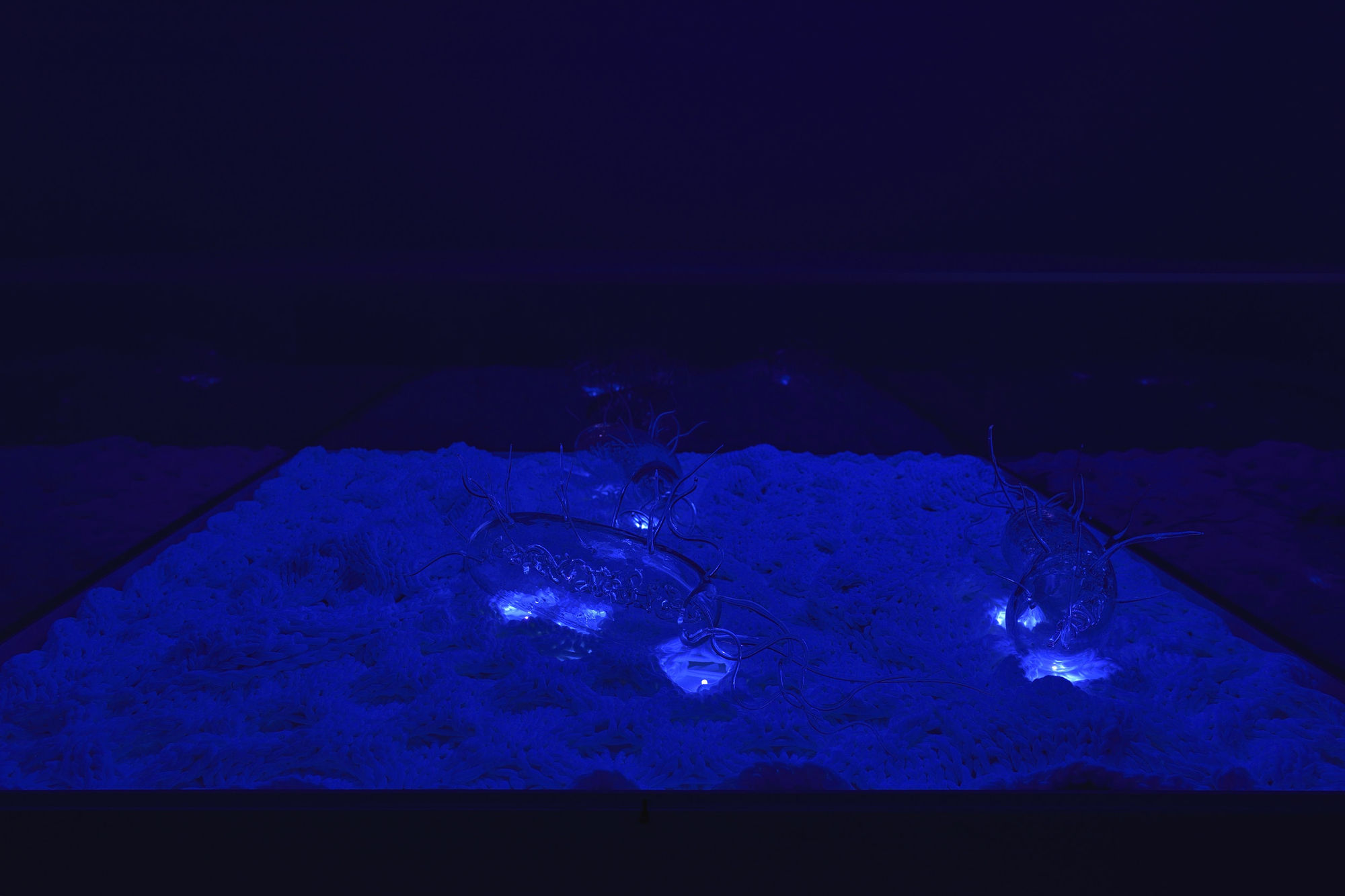 Art Orienté Objet | Je suis contre !