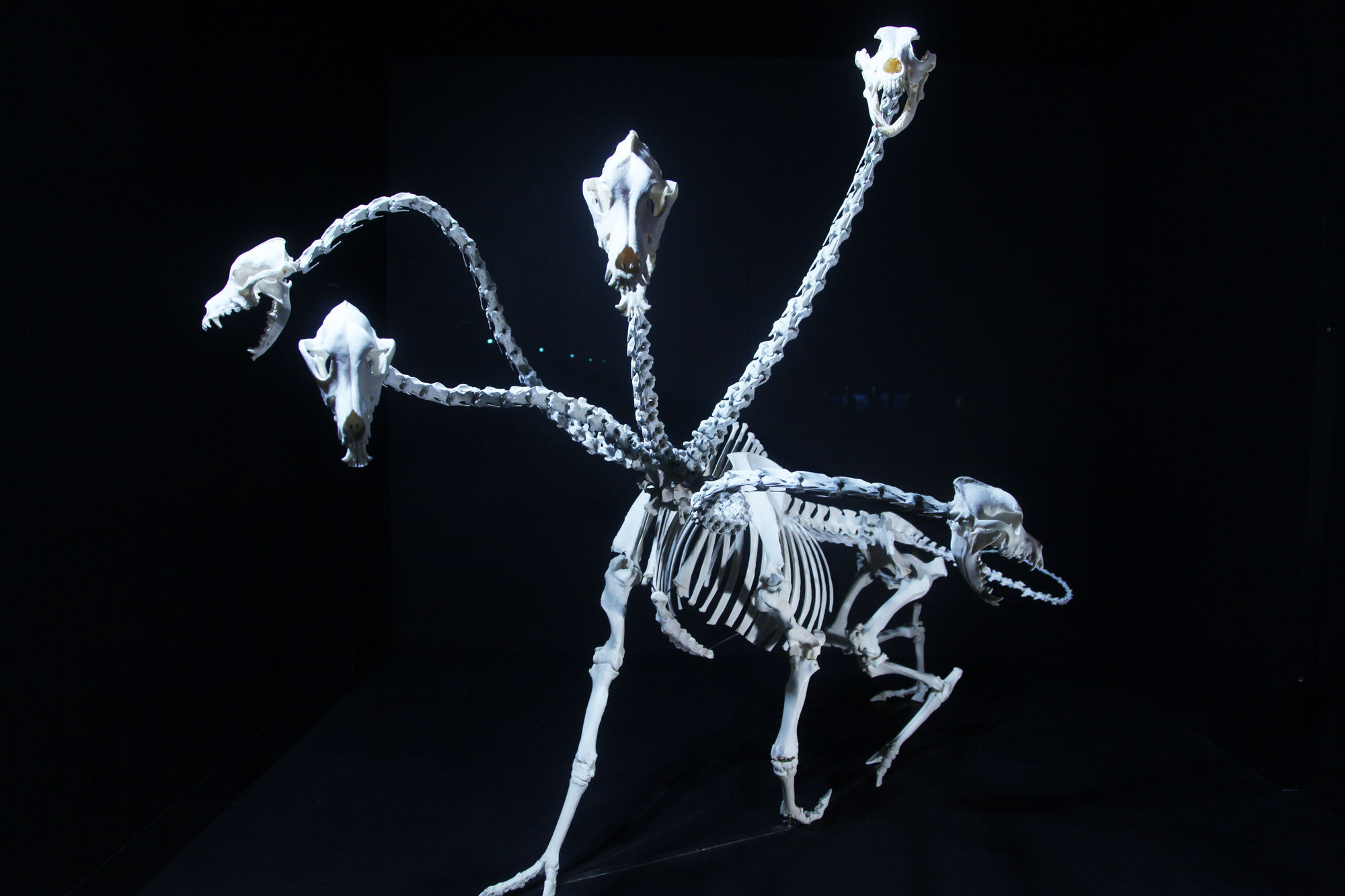 AOO, Hydra Post-humana, 2021